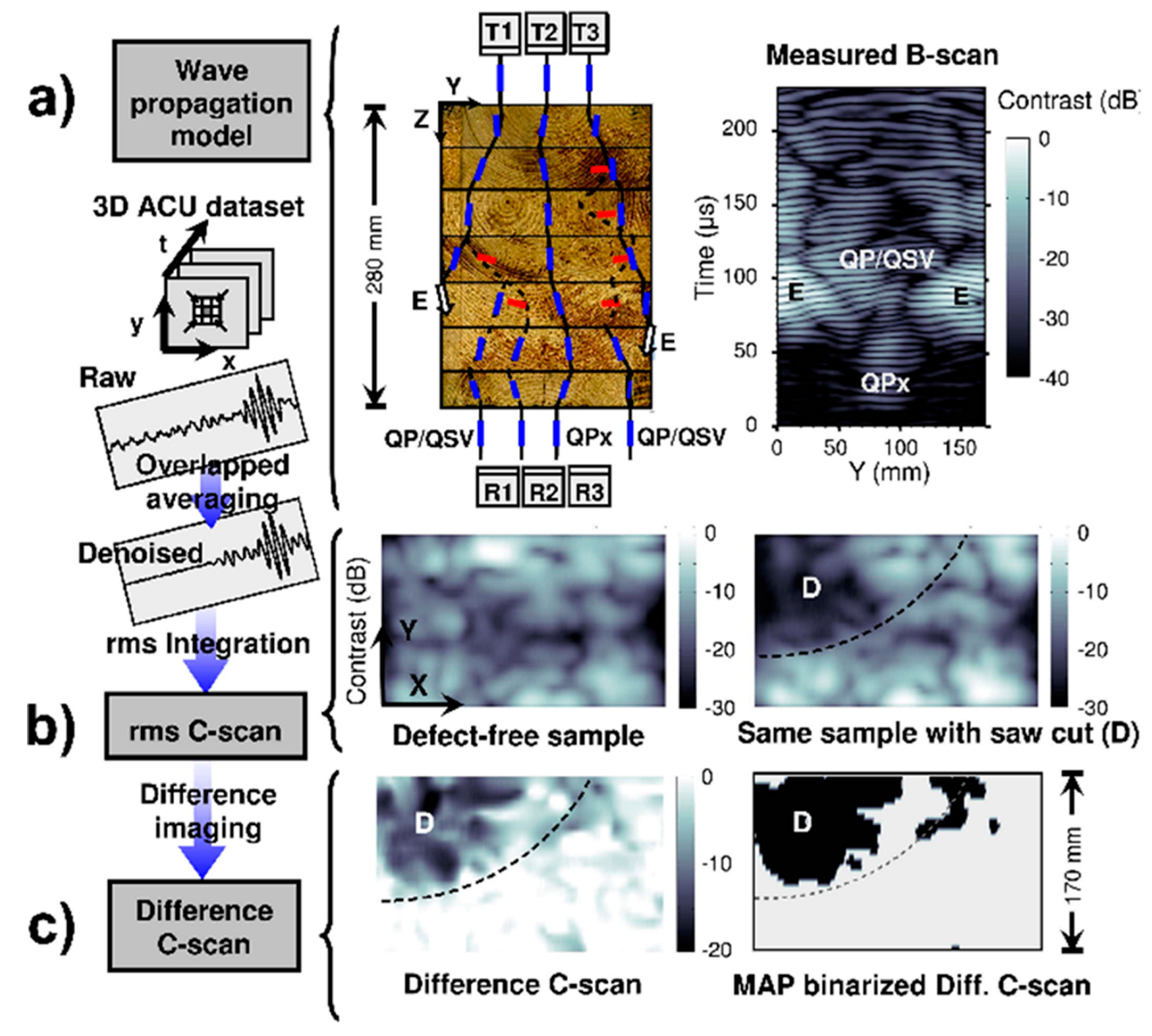 Forests 14 01545 g036