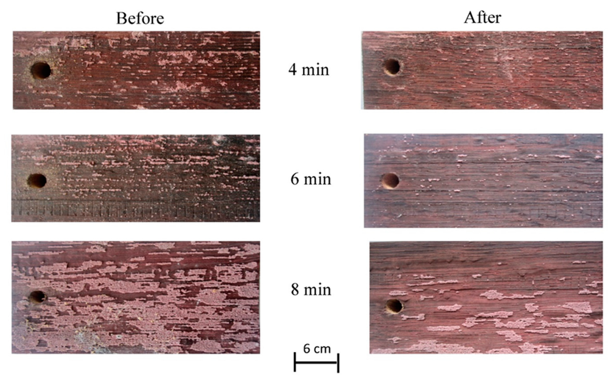 Forests 14 01545 g040