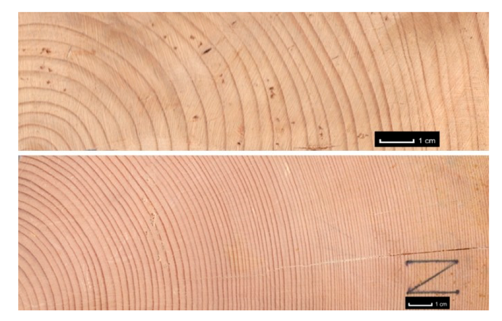 Forests 14 01545 g041