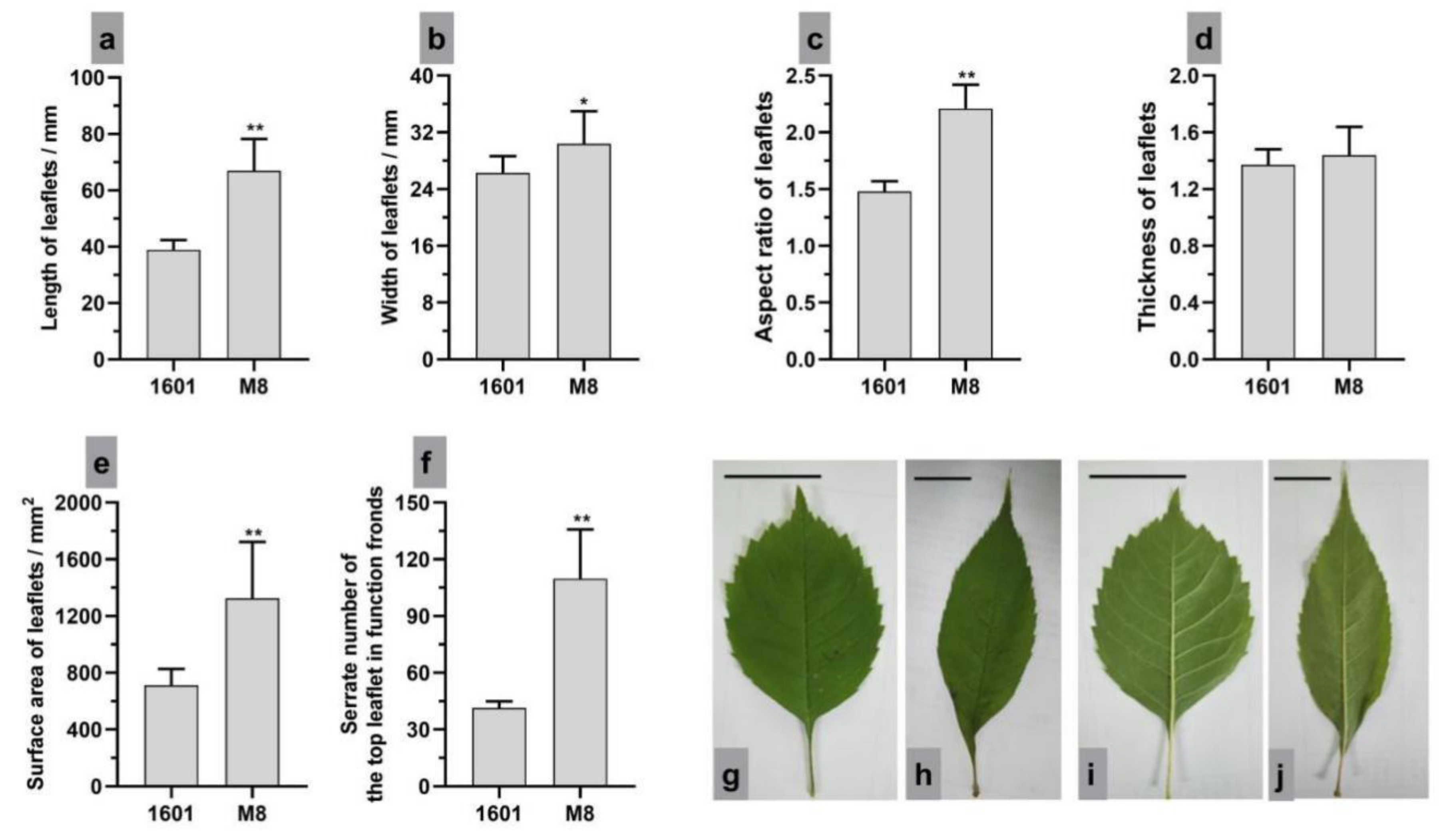 Forests 14 01554 g002