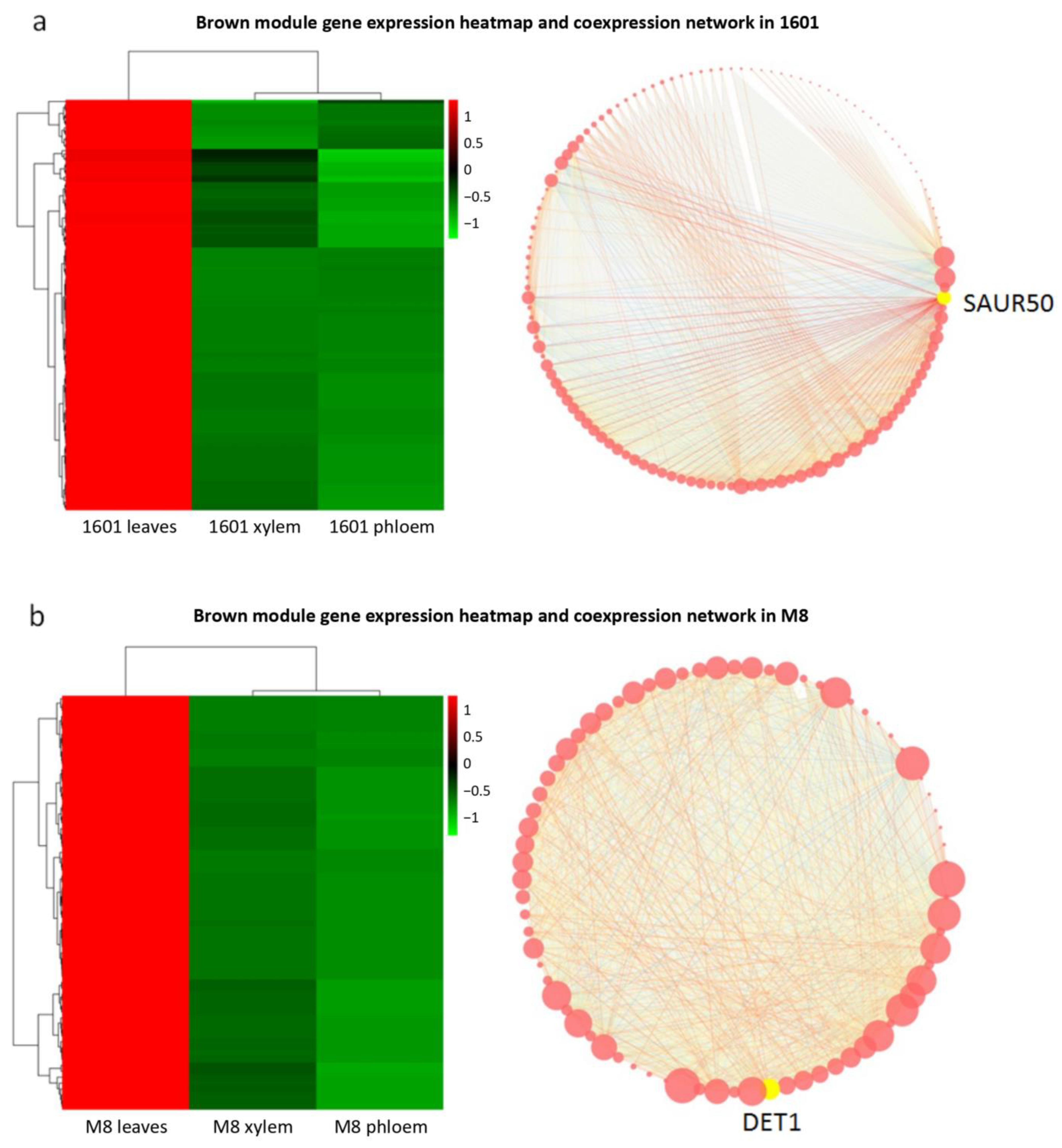 Forests 14 01554 g011