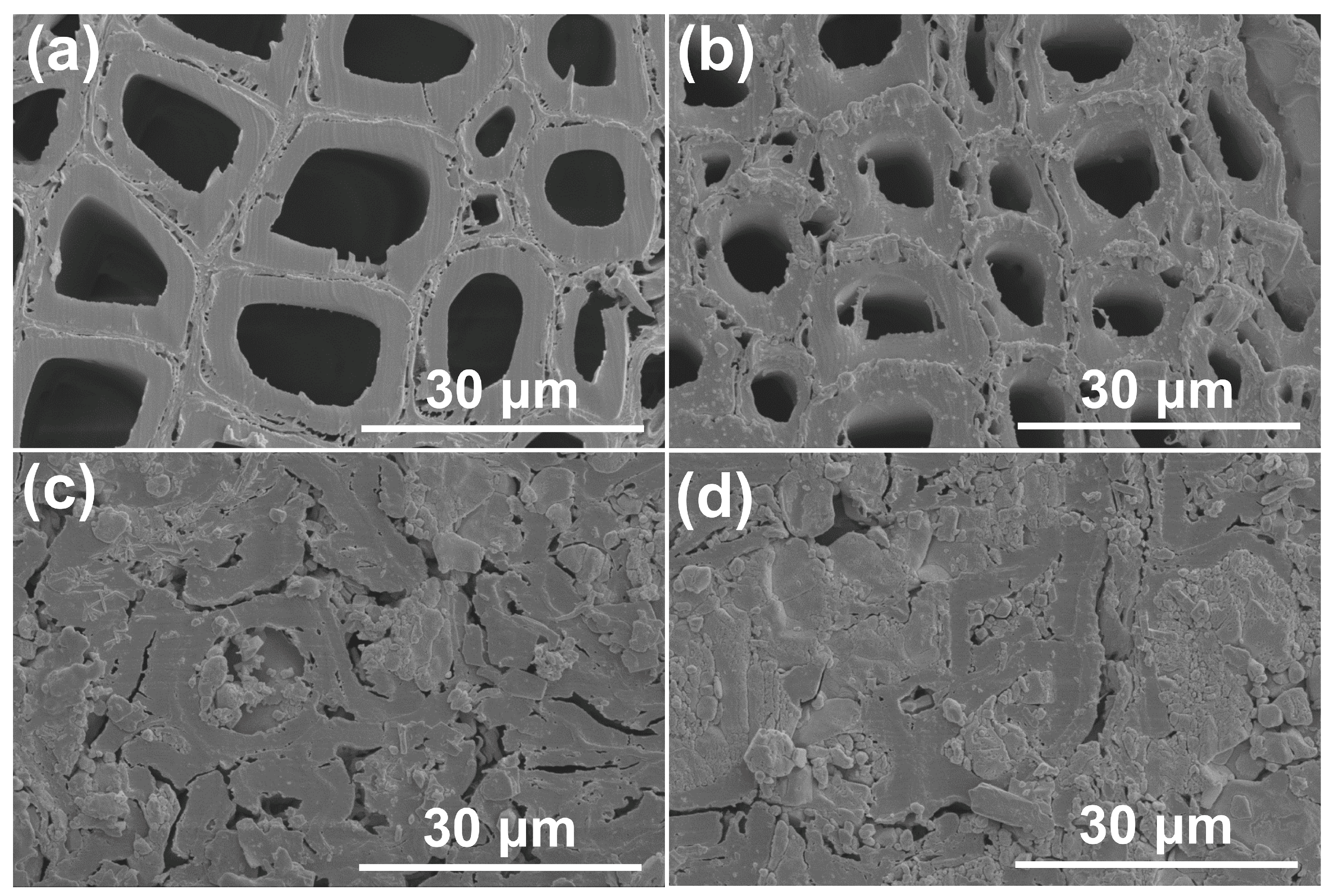 Forests 14 01567 g001