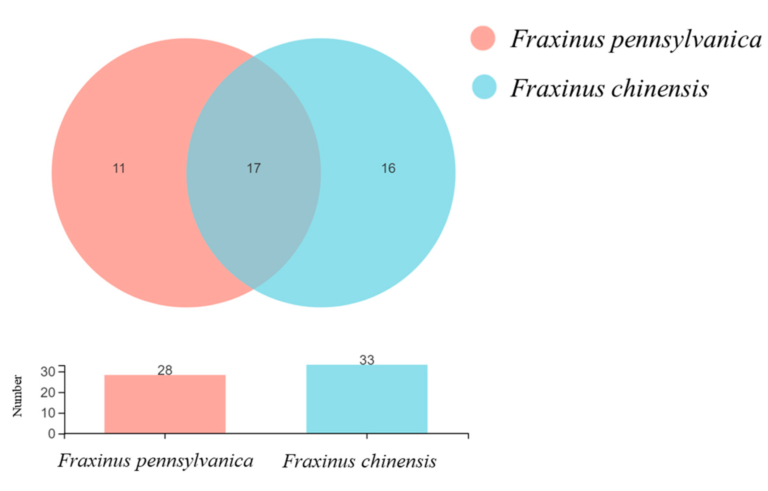 Forests 14 01573 g004 Forests 14 01573 g004