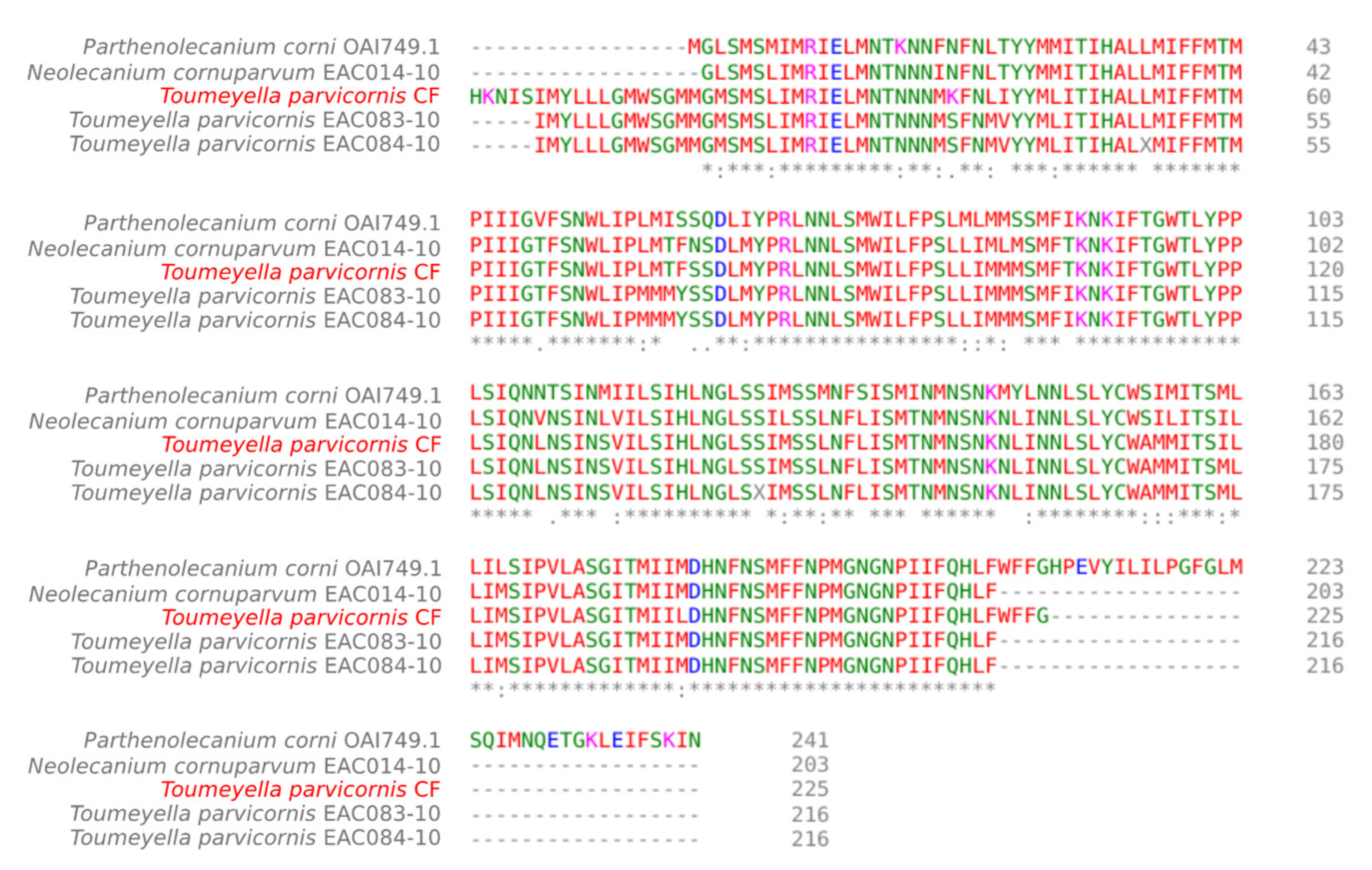 Forests 14 01585 g003
