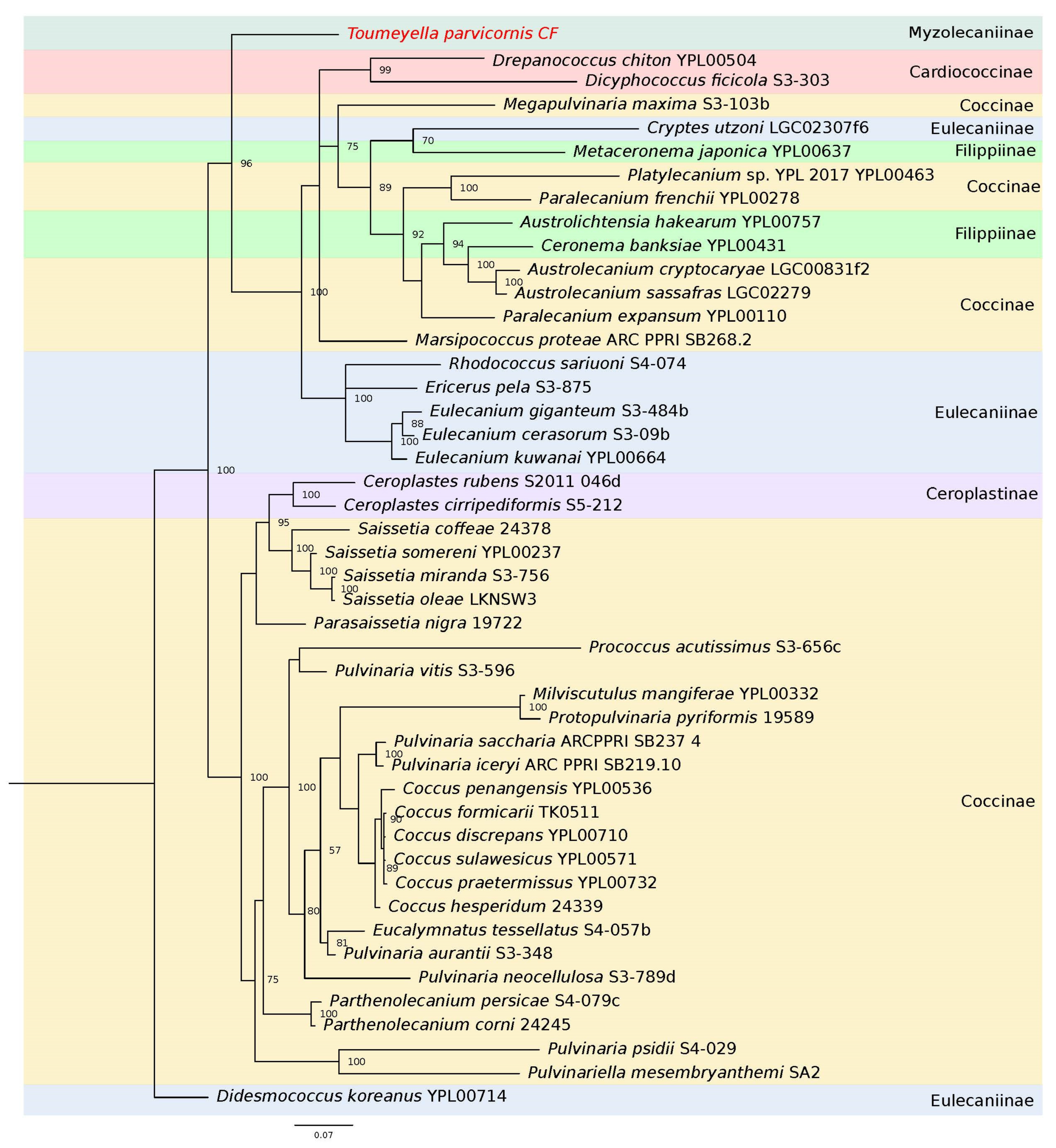 Forests 14 01585 g005