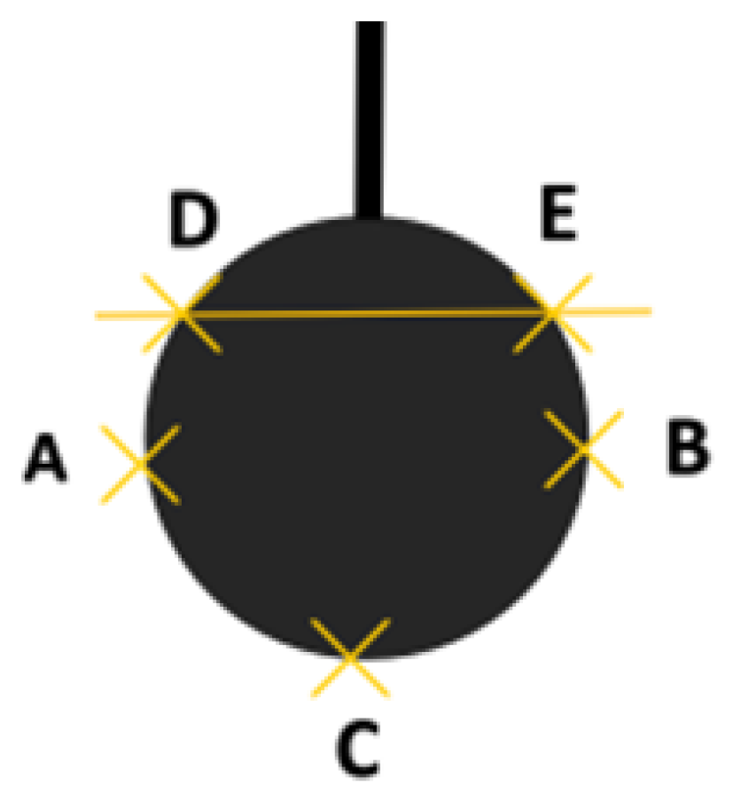 Forests 14 01625 g002