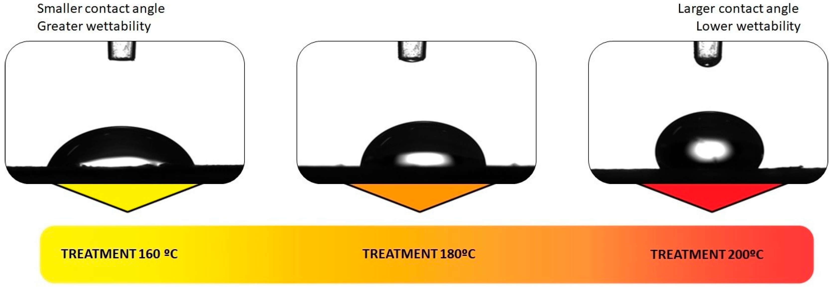 Forests 14 01635 g004 Forests 14 01635 g004