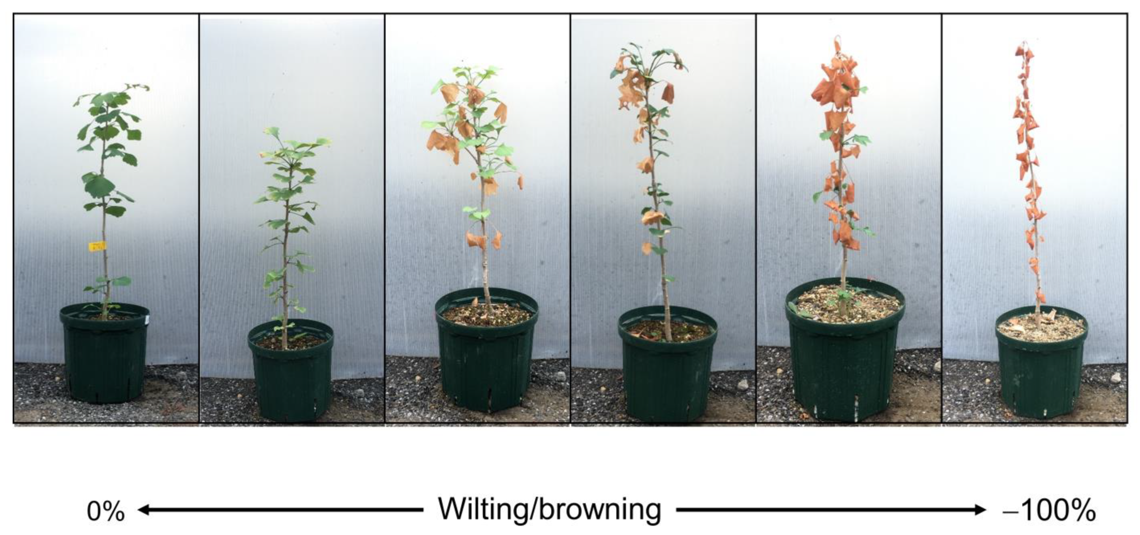 Forests 14 01639 g001