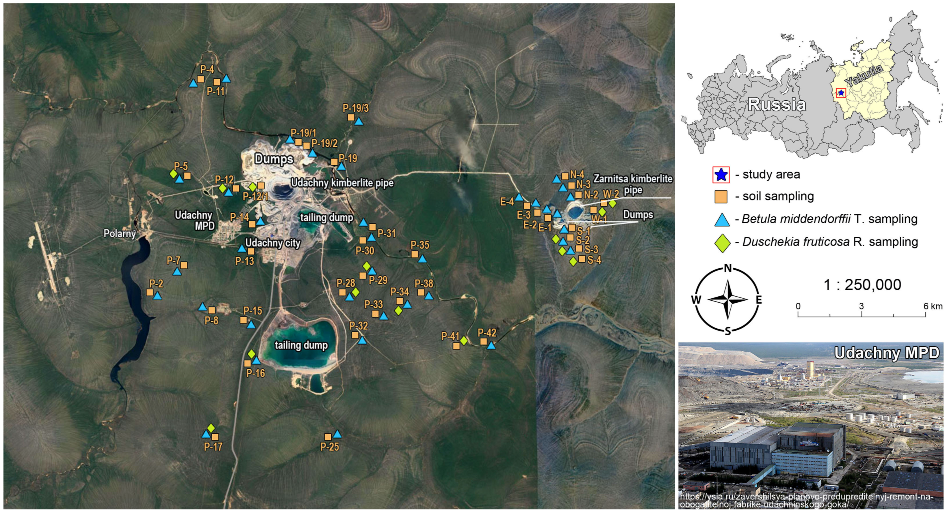 Forests 14 01641 g001 Forests 14 01641 g001
