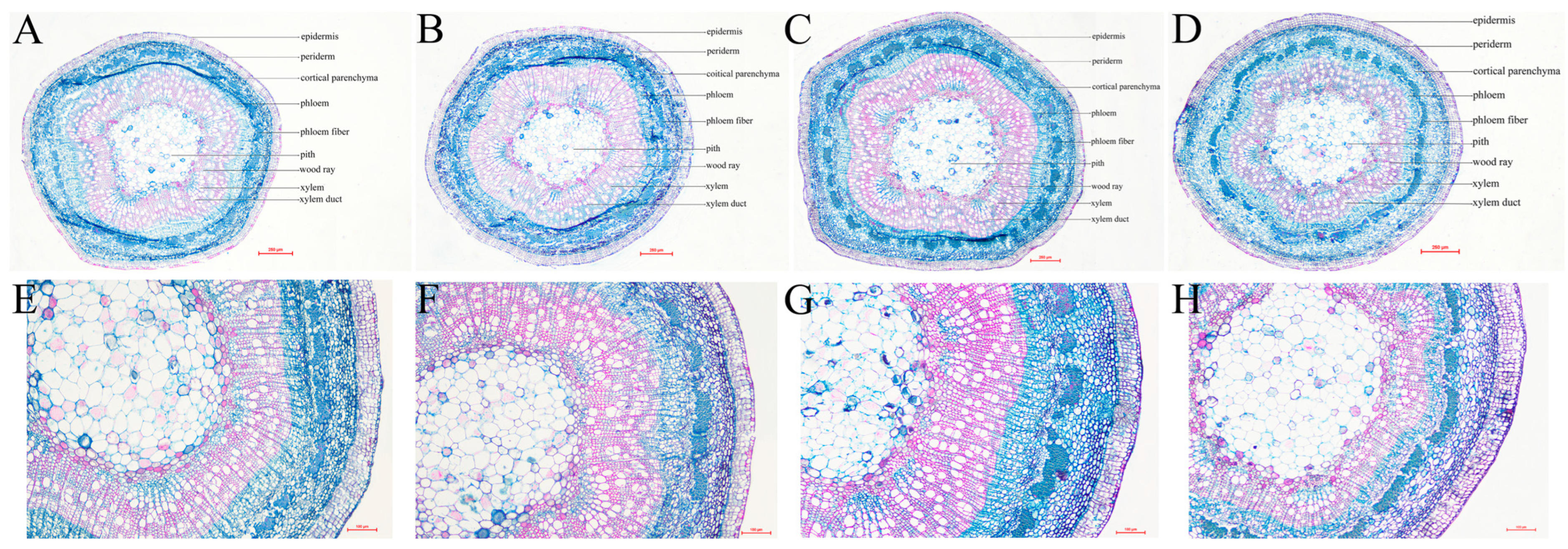 Forests 14 01713 g007