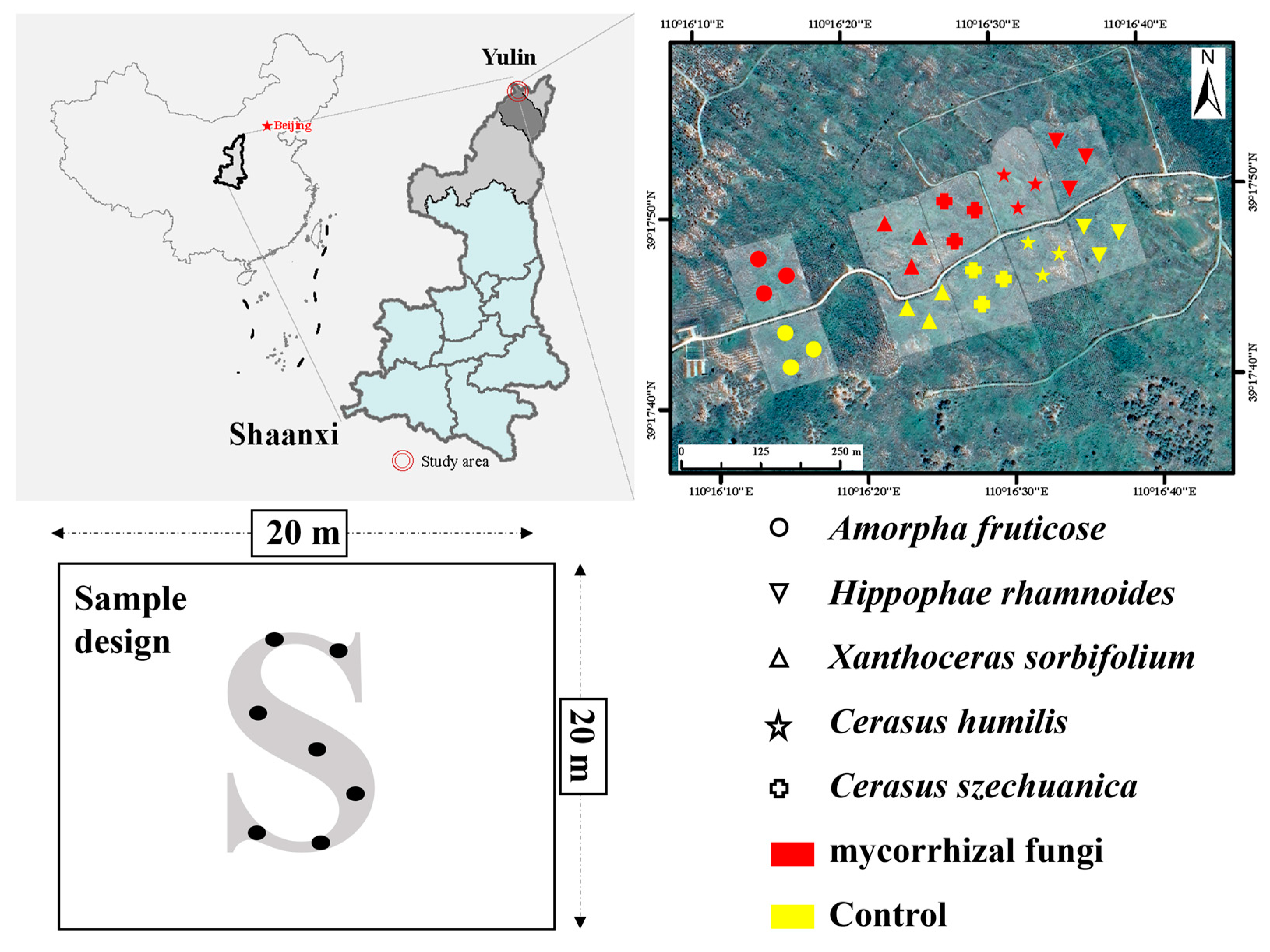 Forests 14 01720 g001