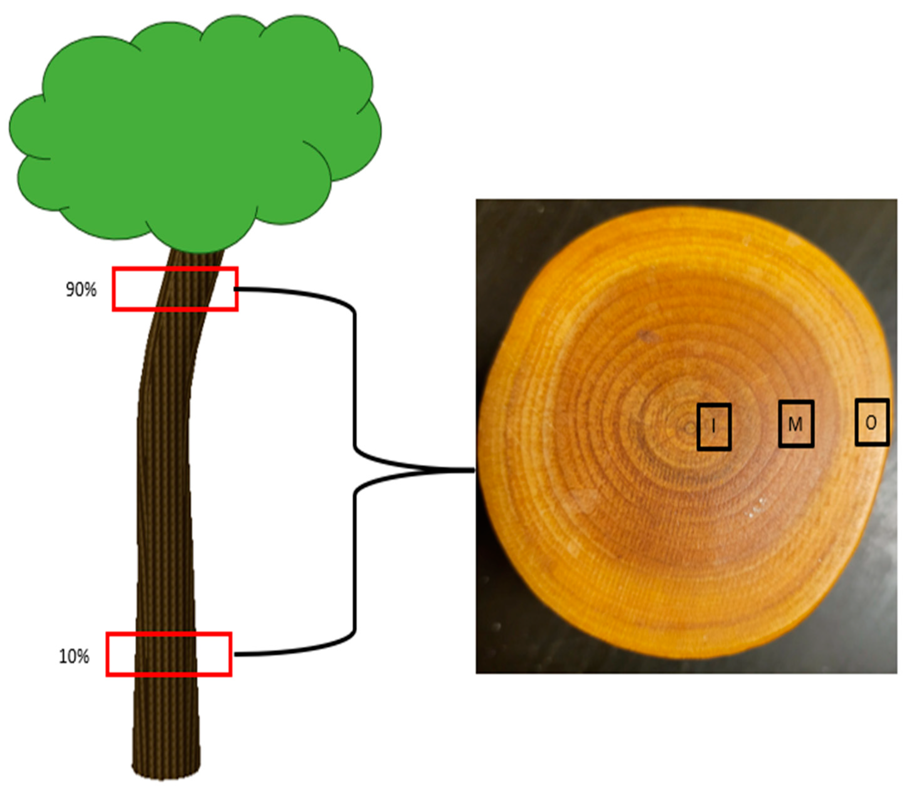 Forests 14 01722 g001