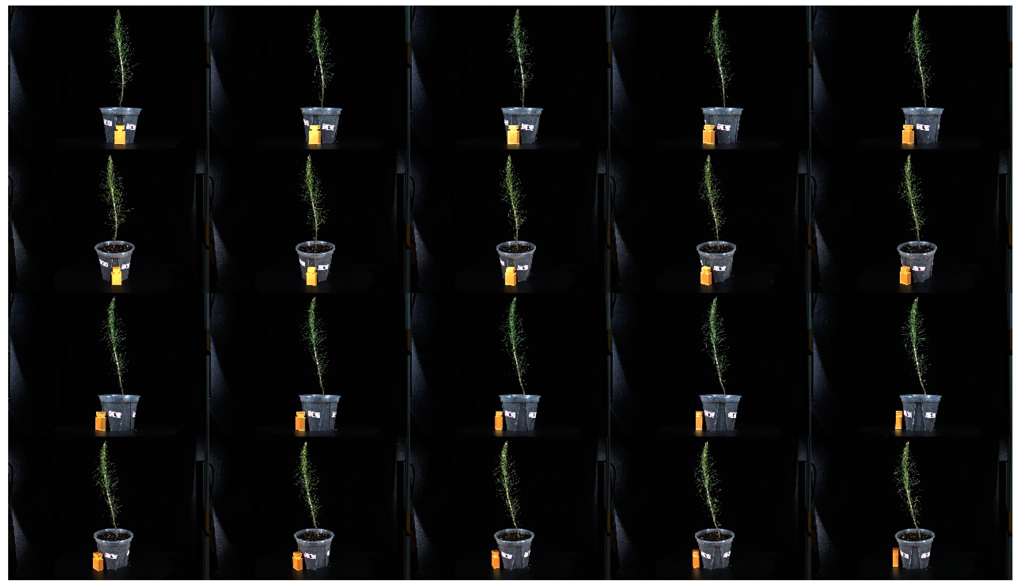 Forests 14 01726 g002