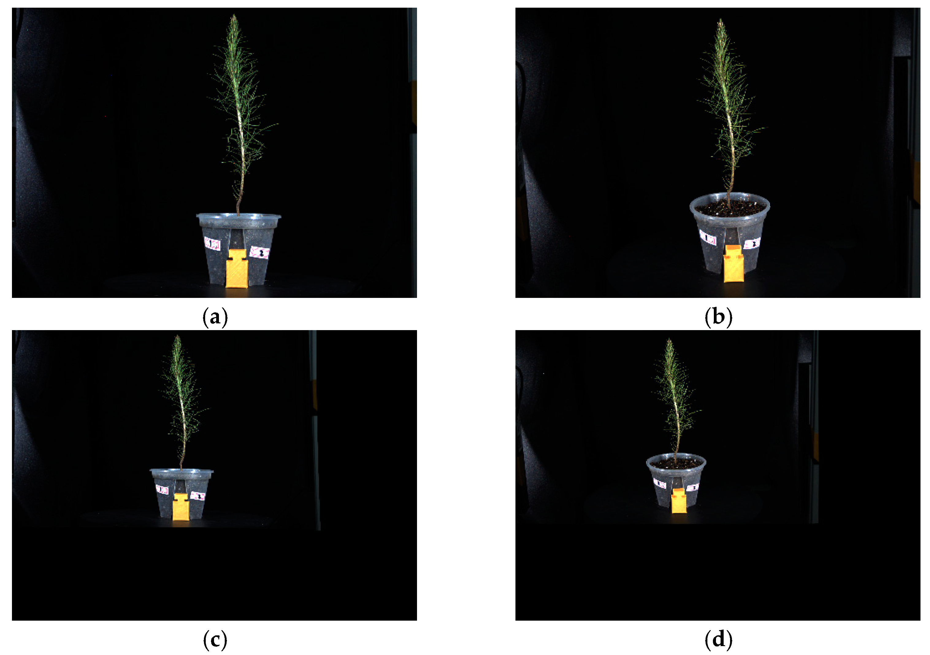 Forests 14 01726 g009