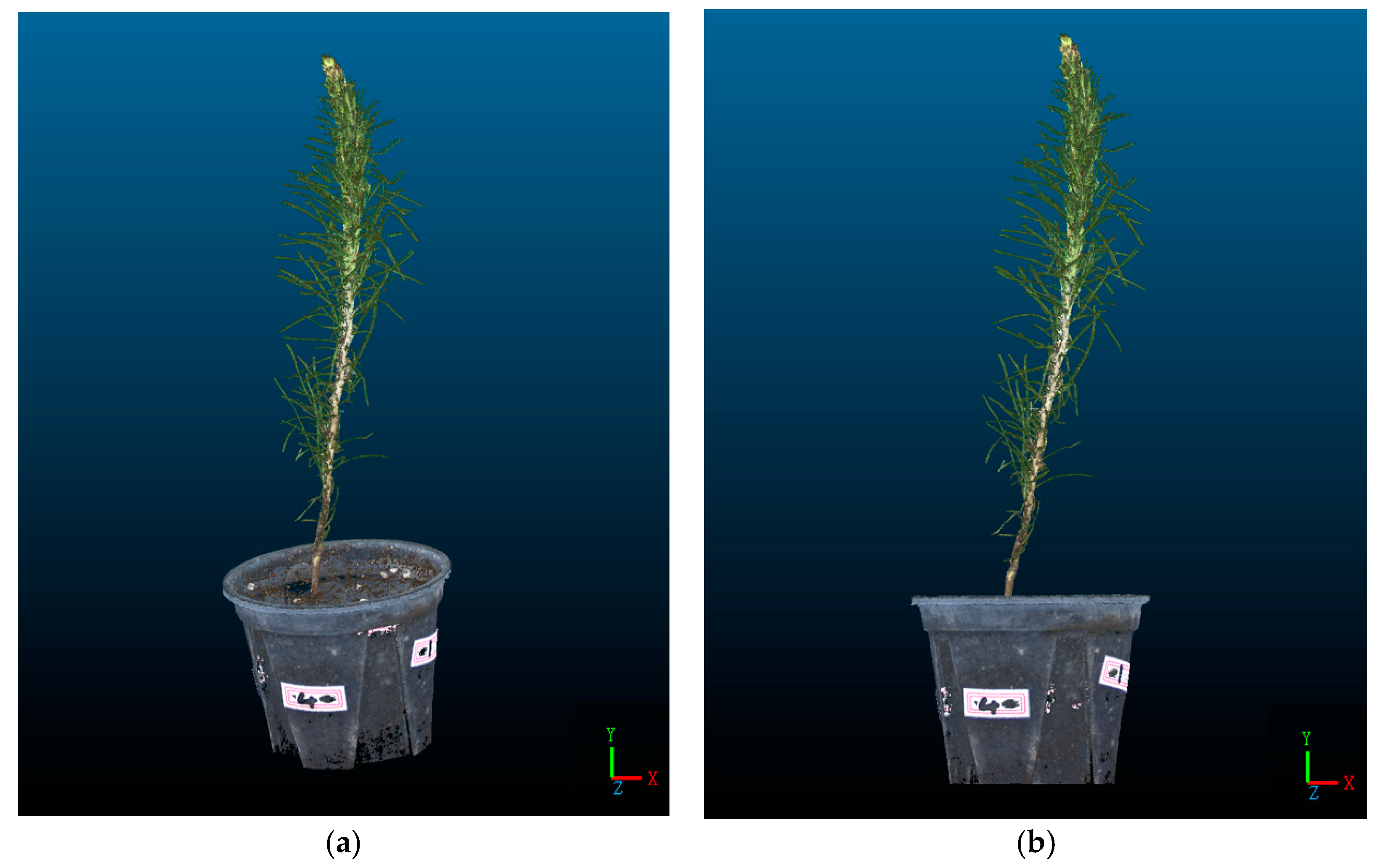 Forests 14 01726 g013