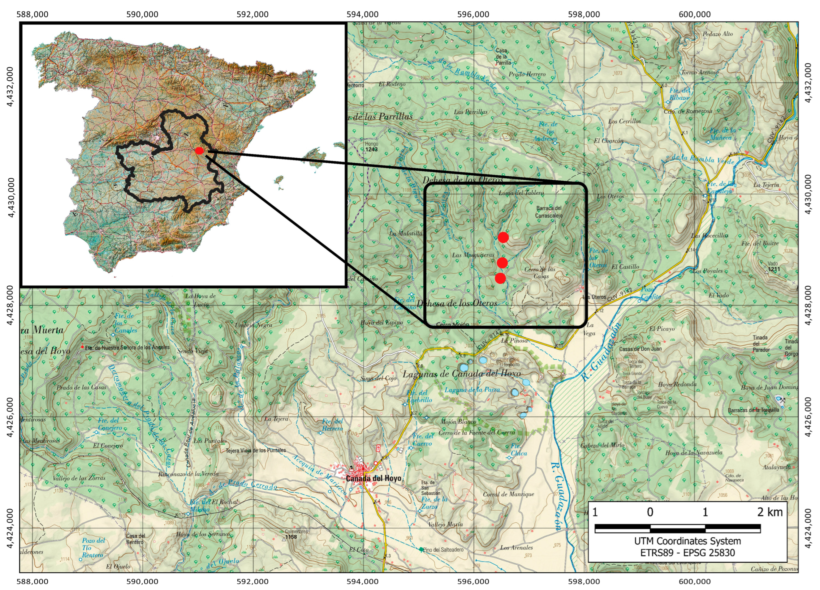 Forests 14 01745 g001 Forests 14 01745 g001