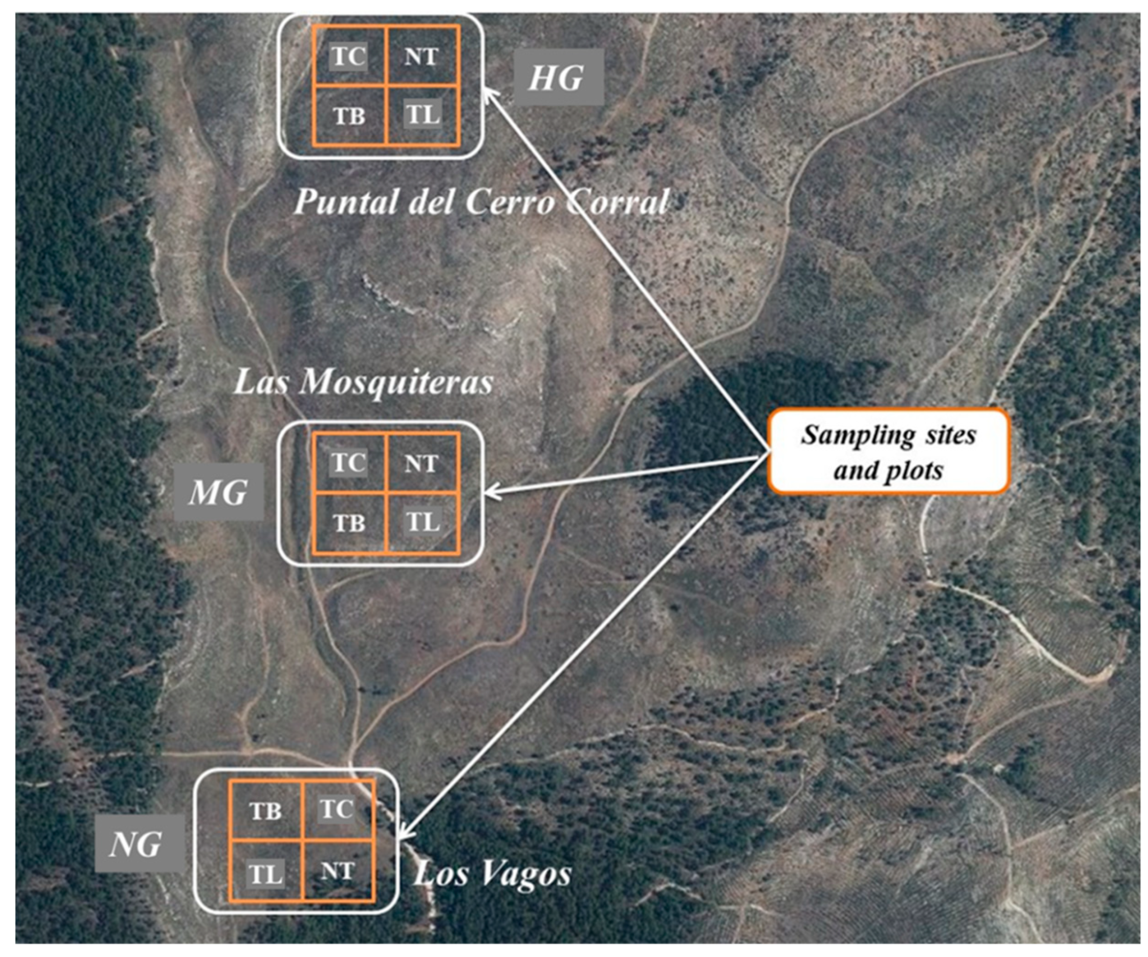 Forests 14 01745 g002 Forests 14 01745 g002