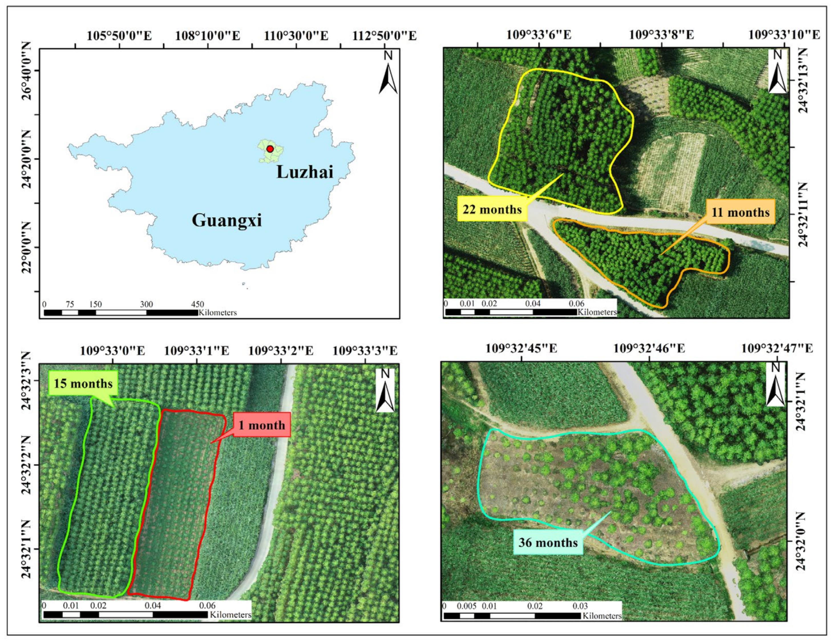 Forests 14 01748 g001