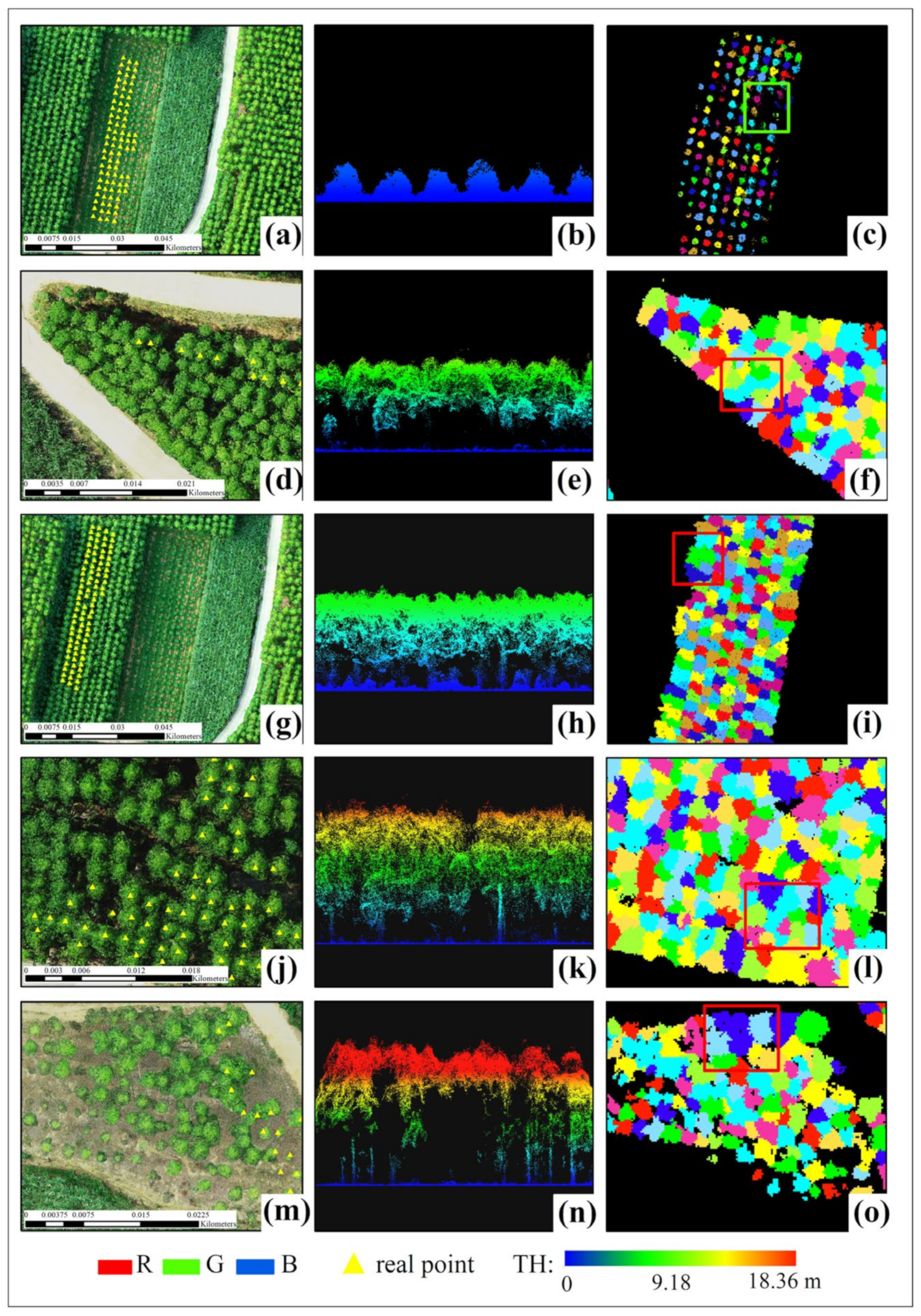Forests 14 01748 g005