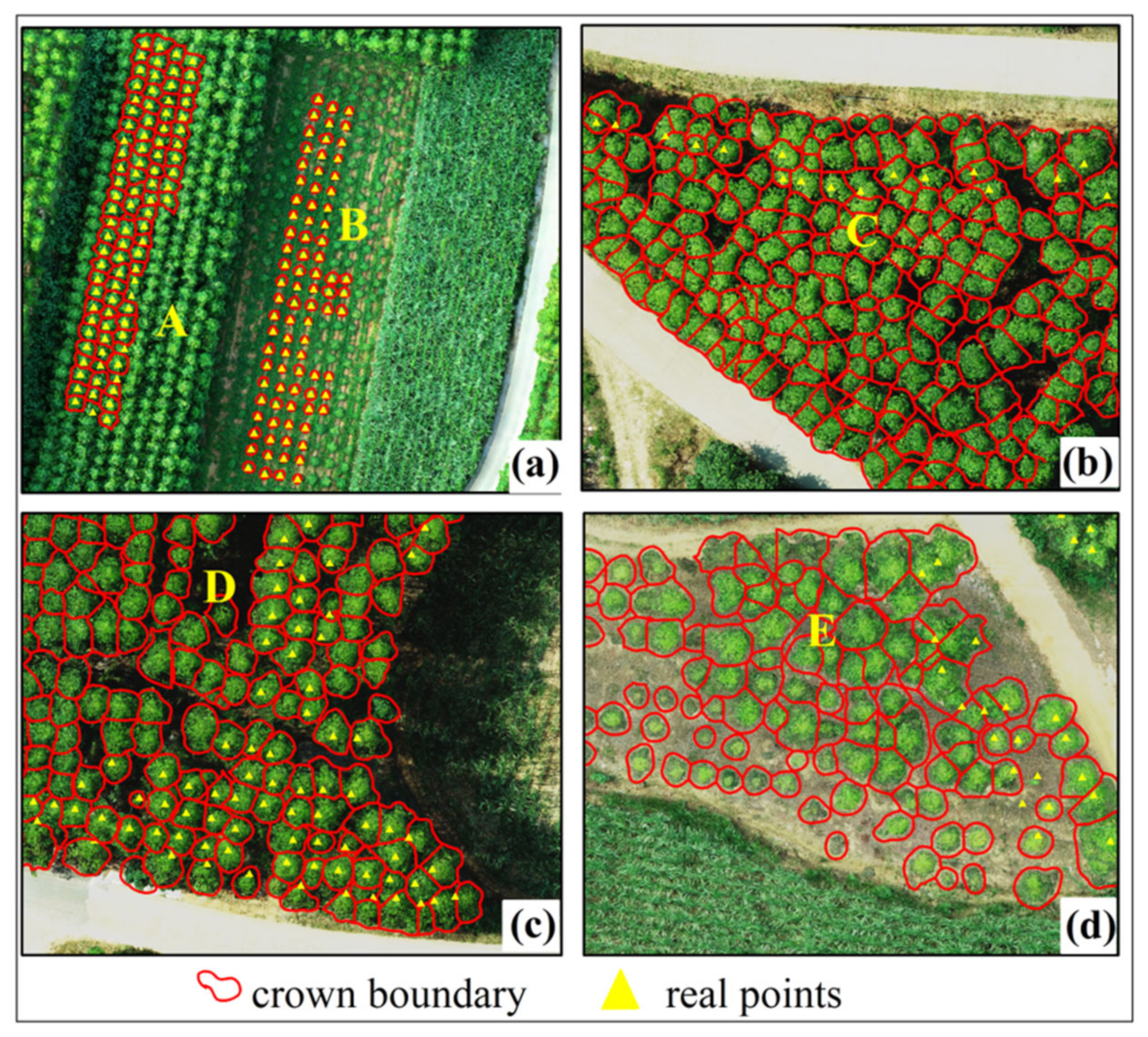 Forests 14 01748 g006