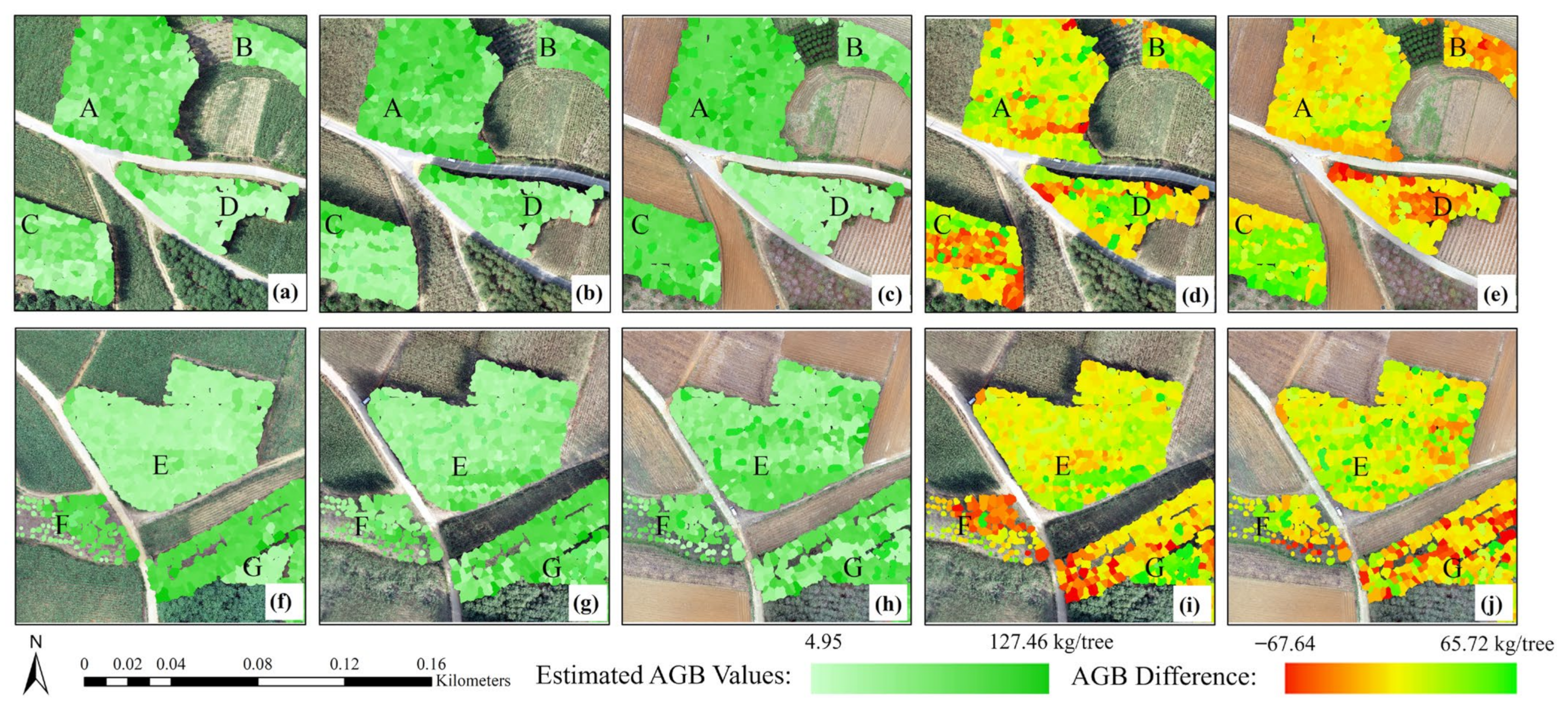 Forests 14 01748 g013