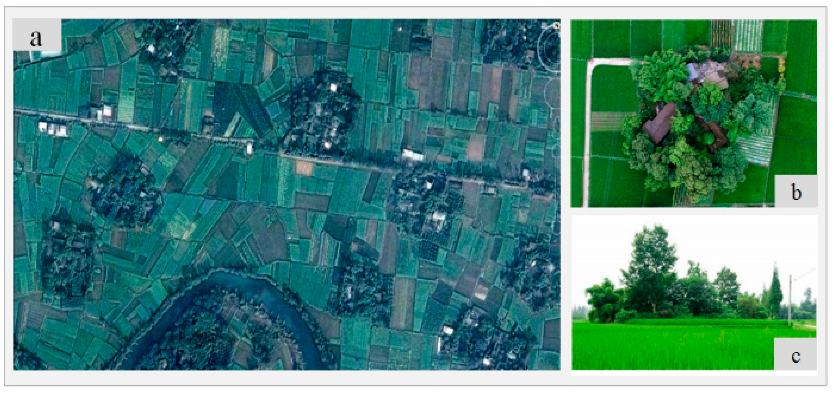 Forests 14 01754 g001