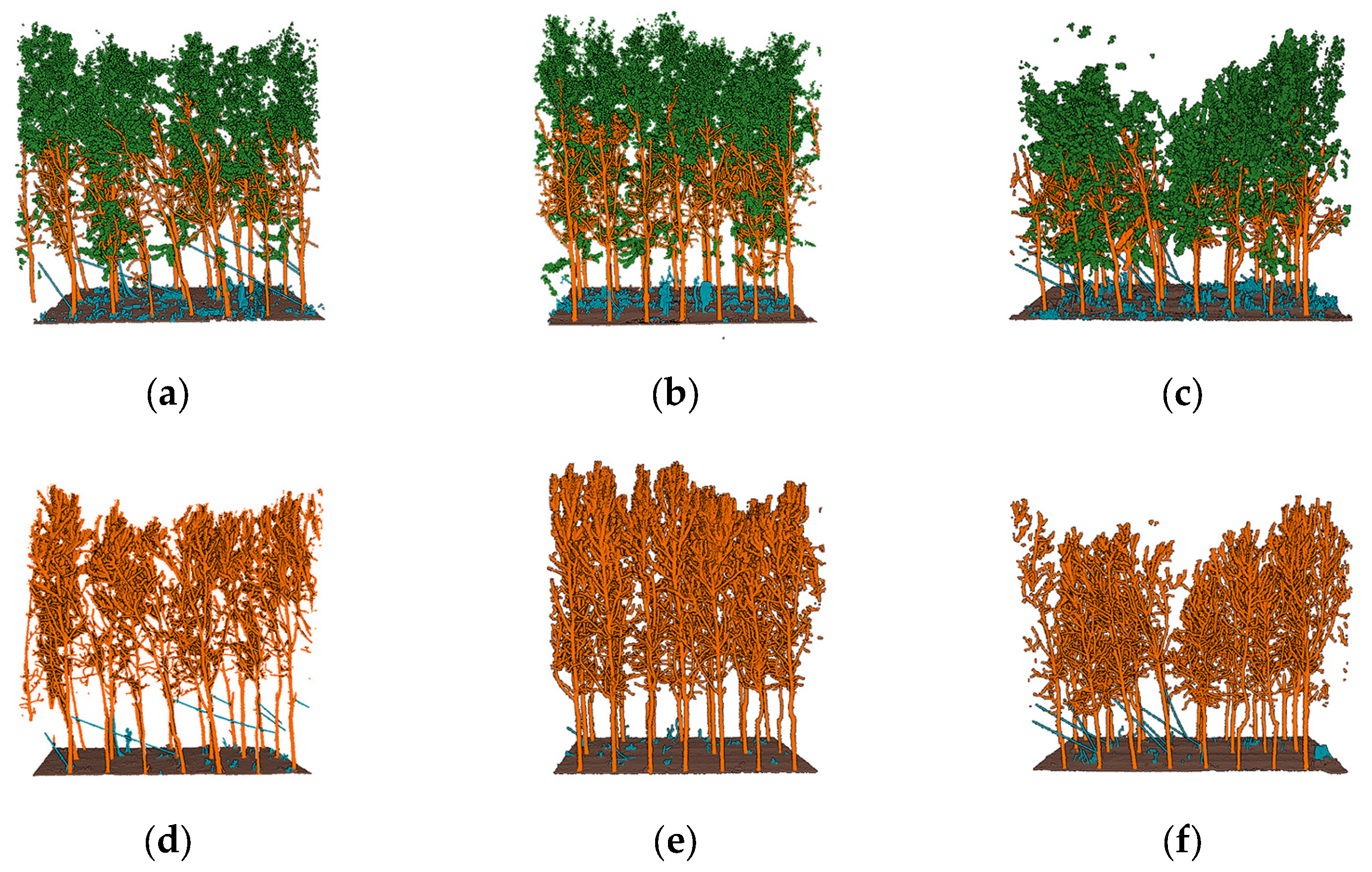 Forests 14 01757 g005