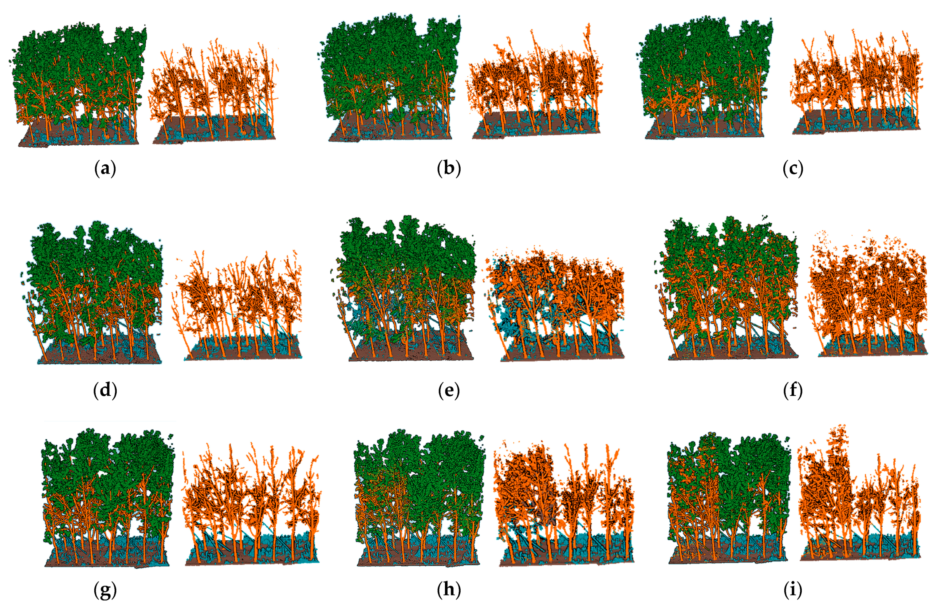 Forests 14 01757 g009