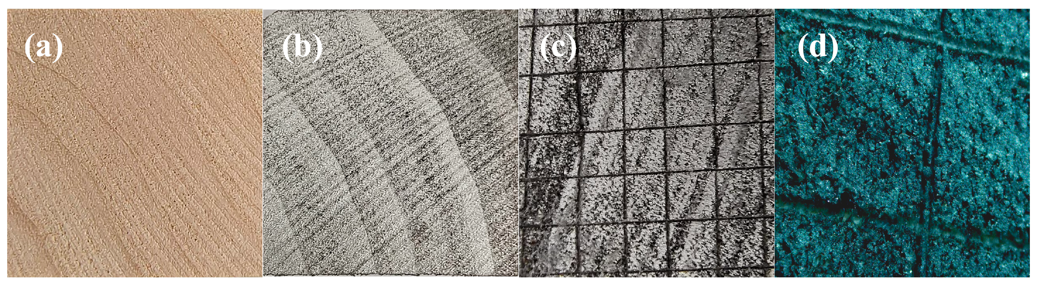 Forests 14 01761 g006