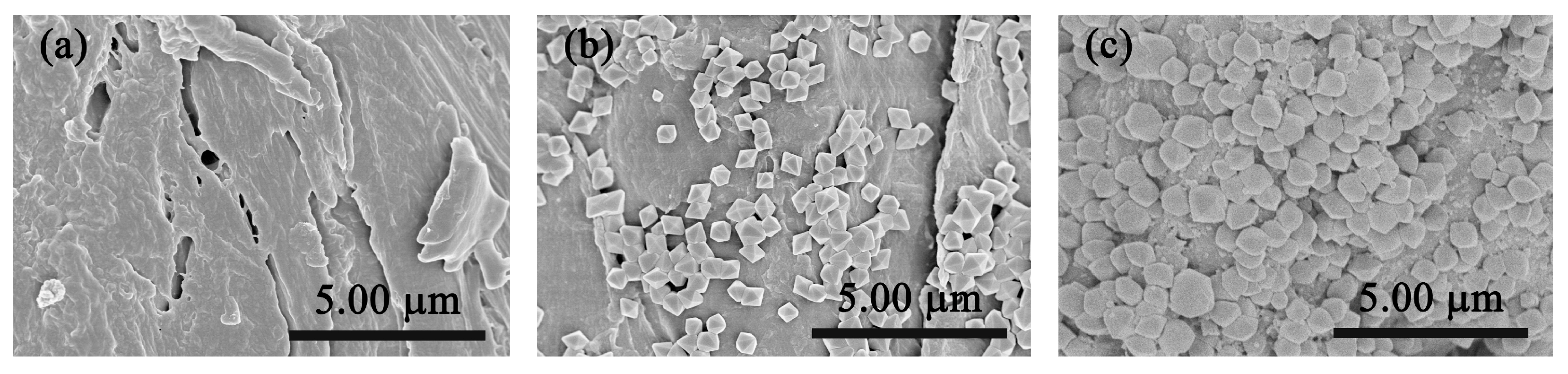 Forests 14 01772 g001