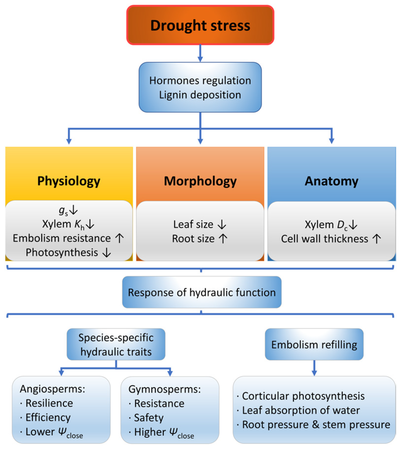 Forests 14 01784 g002