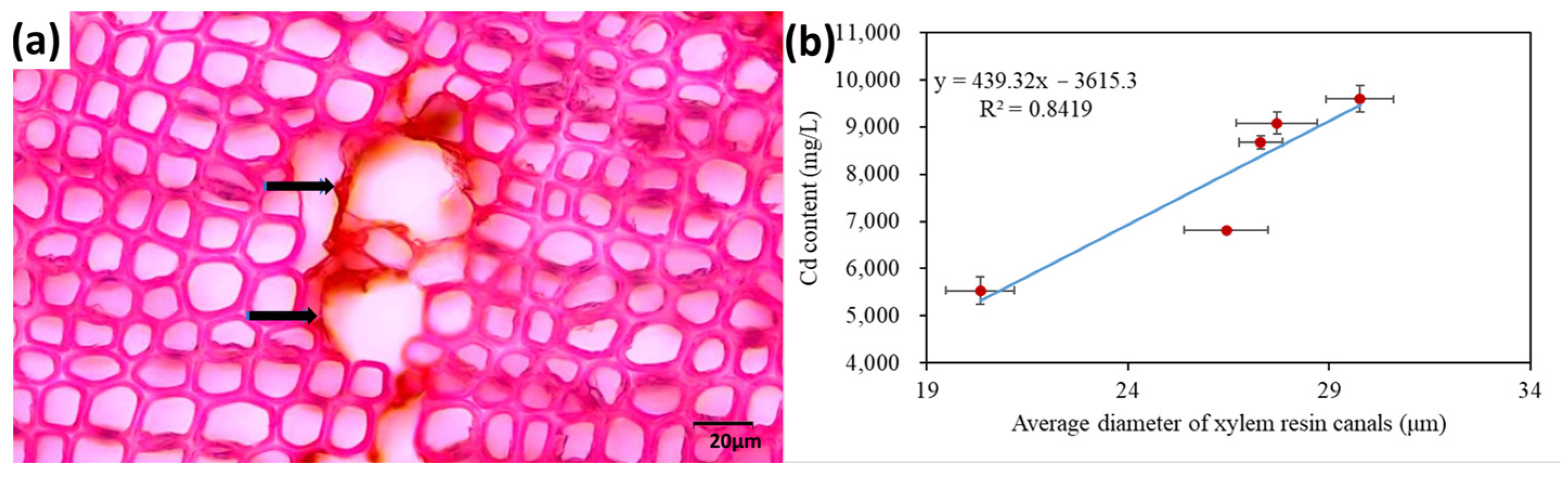 Forests 14 01784 g007