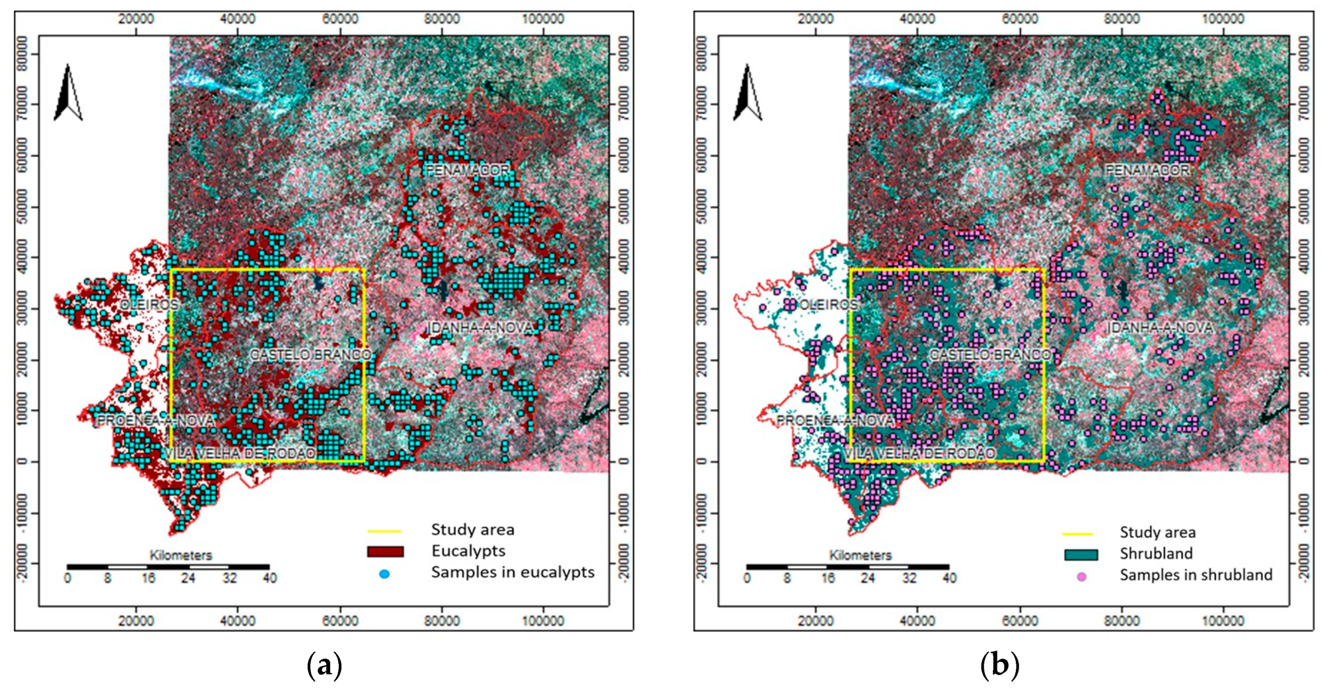 Forests 14 01795 g003