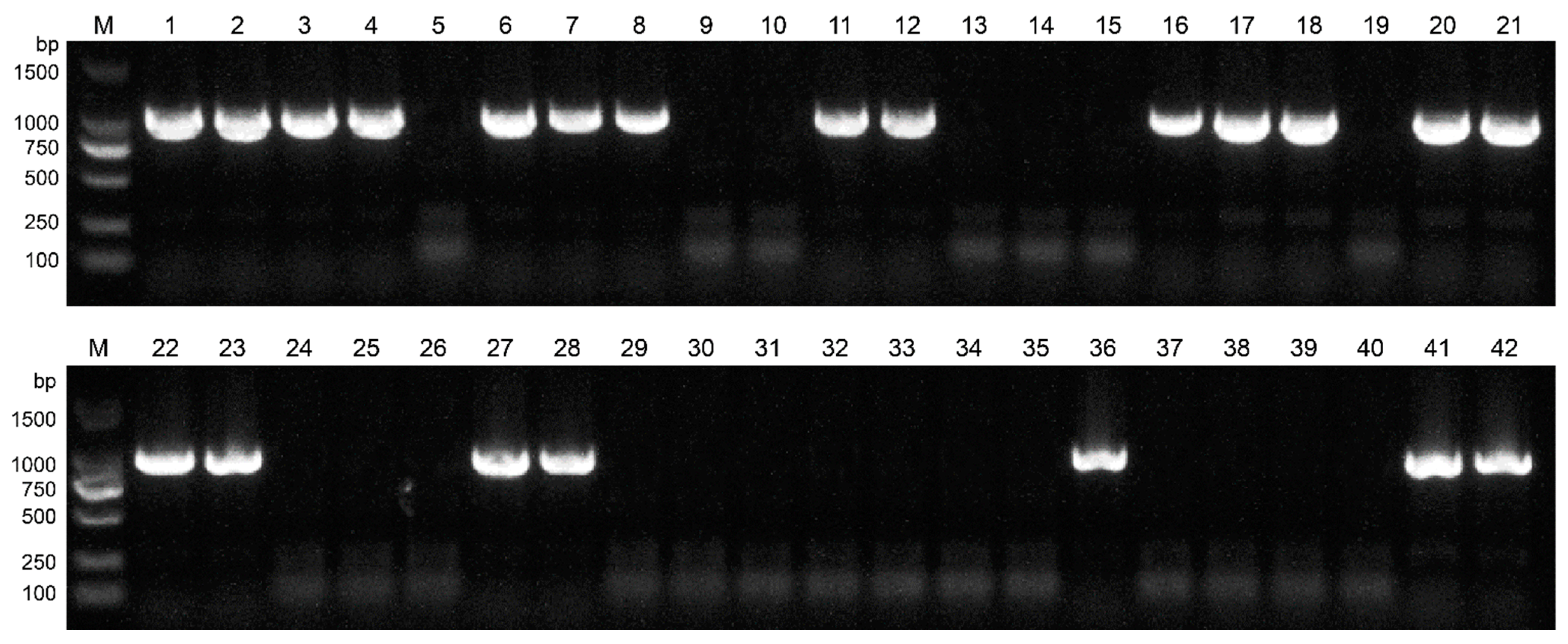 Forests 14 01809 g002