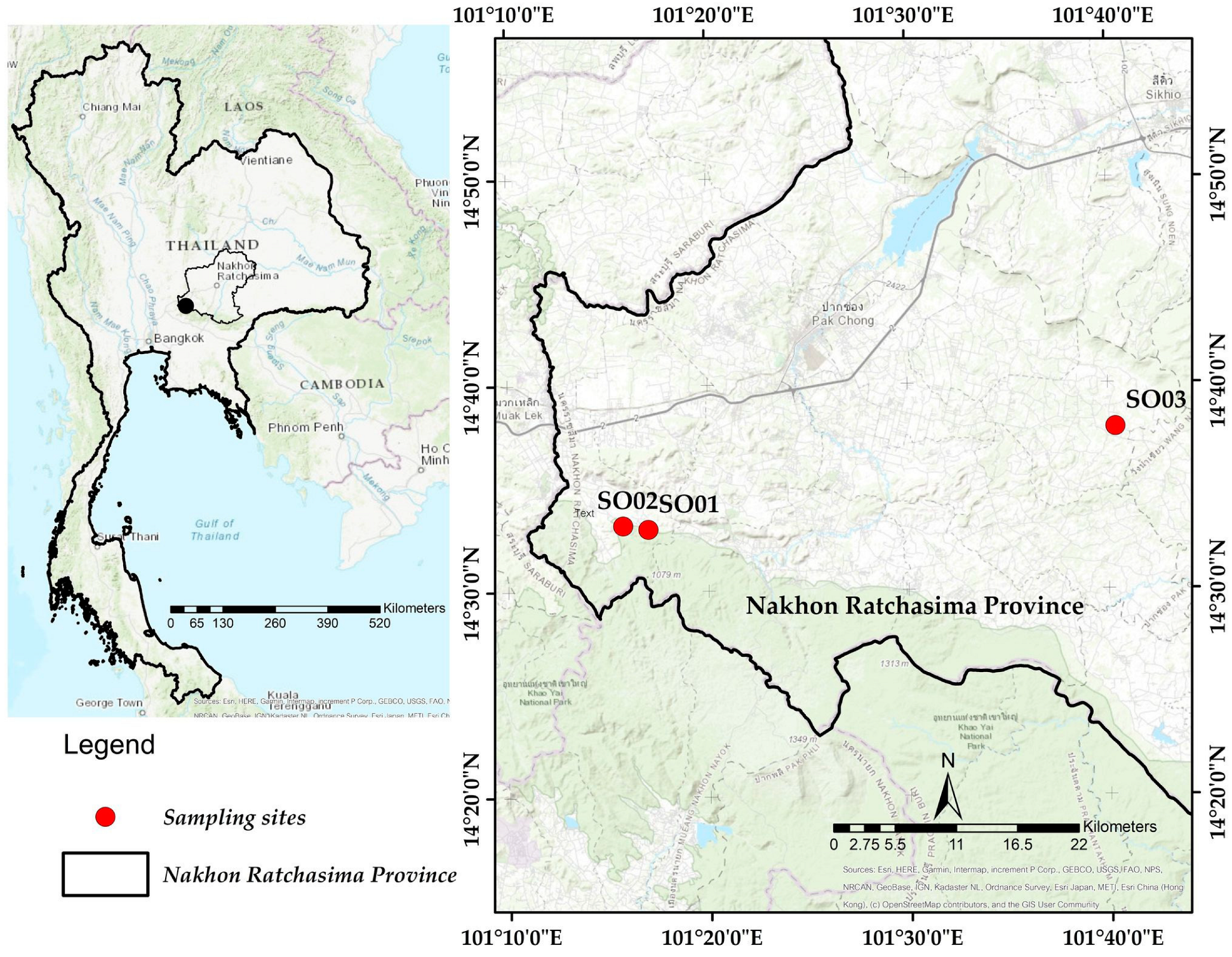 Forests 14 01824 g002