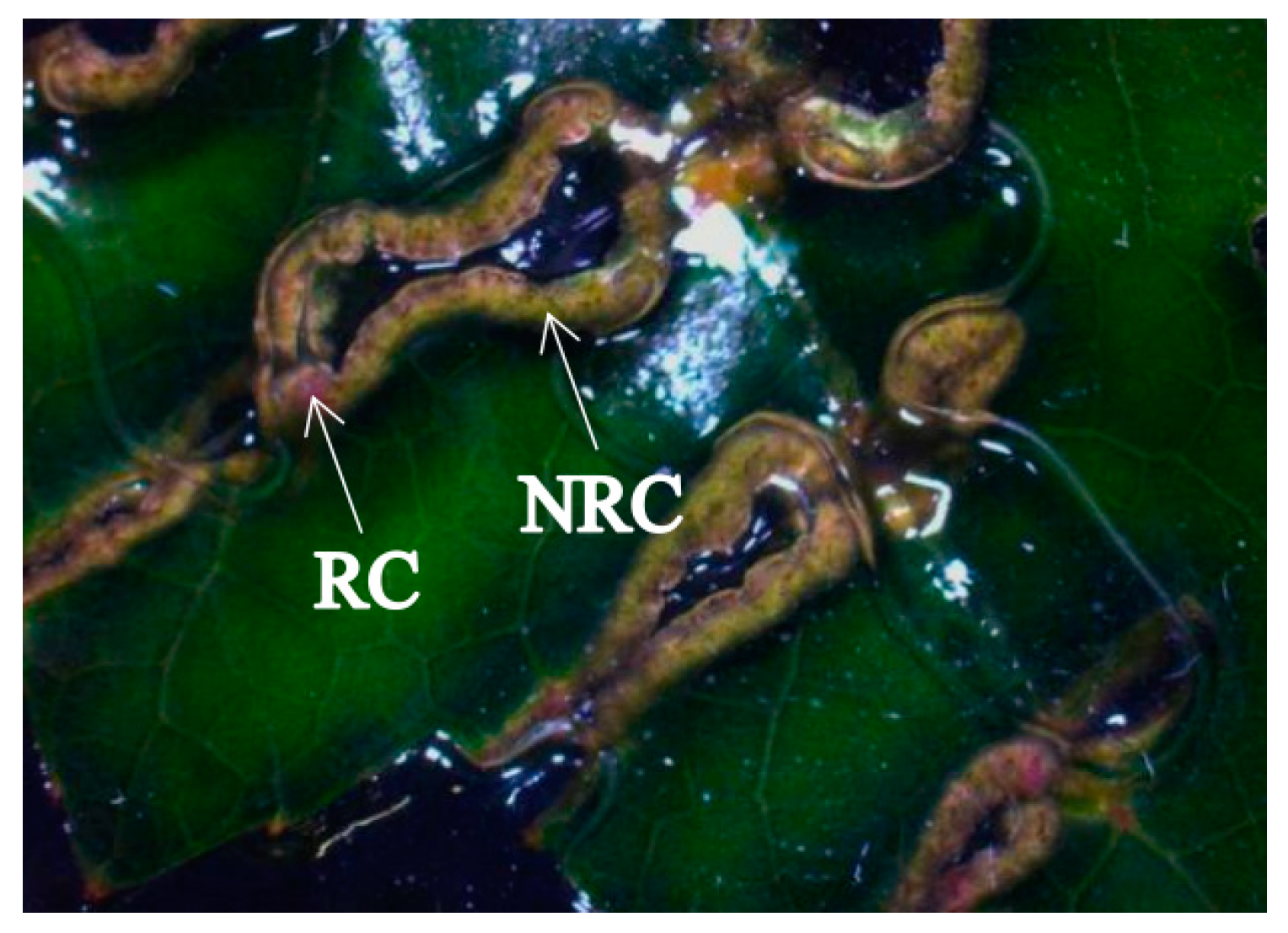 Forests 14 01833 g001