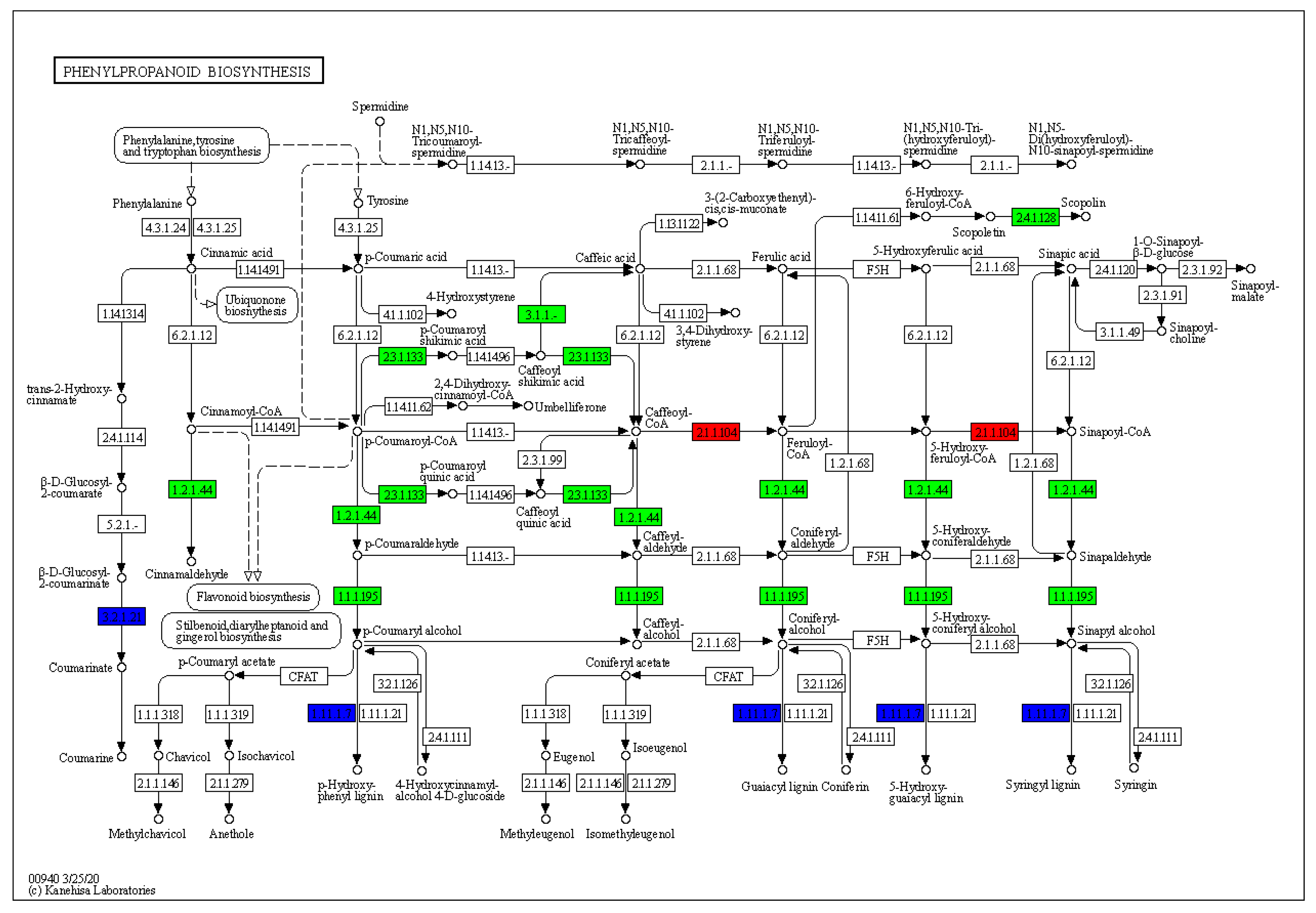 Forests 14 01833 g005