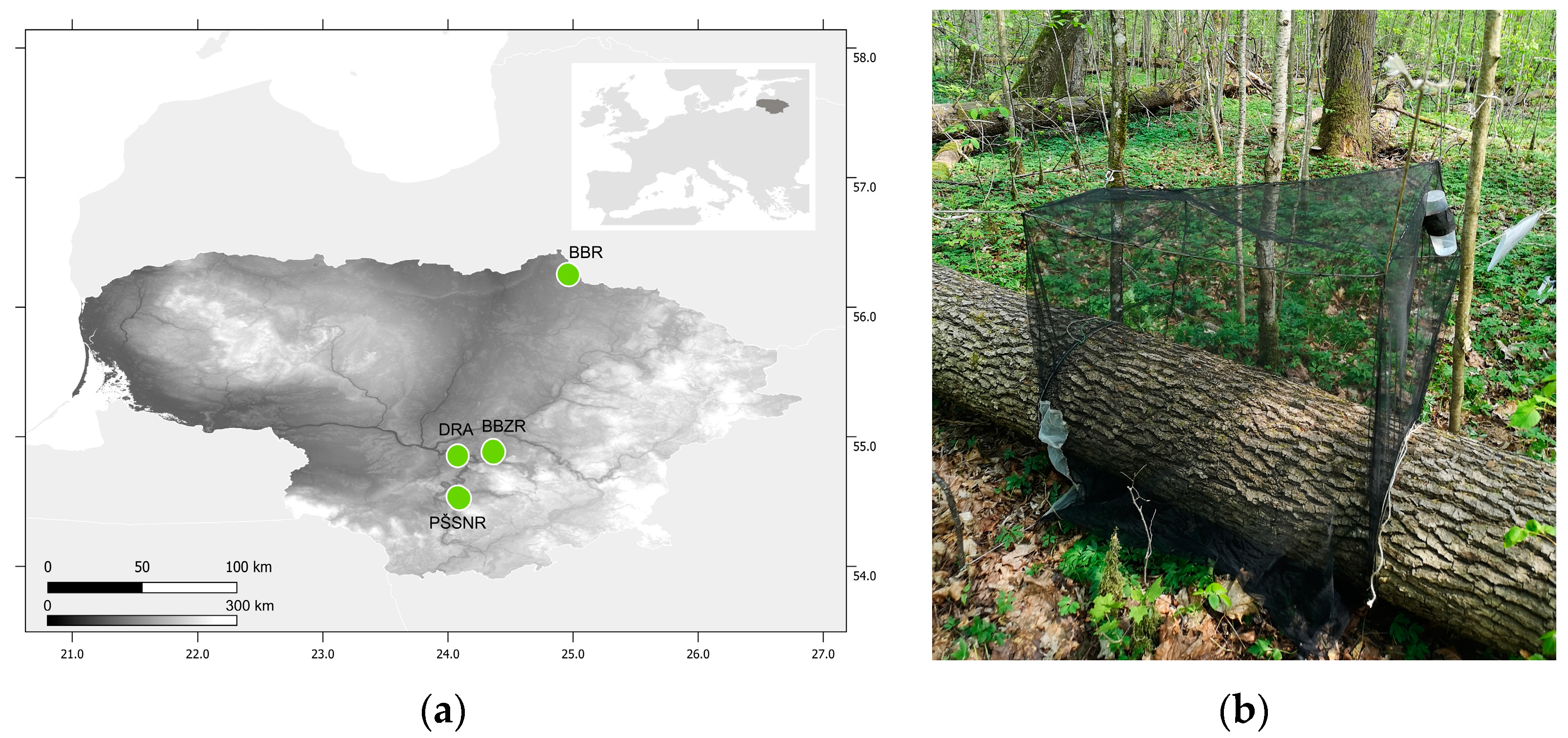 Forests 14 01836 g001