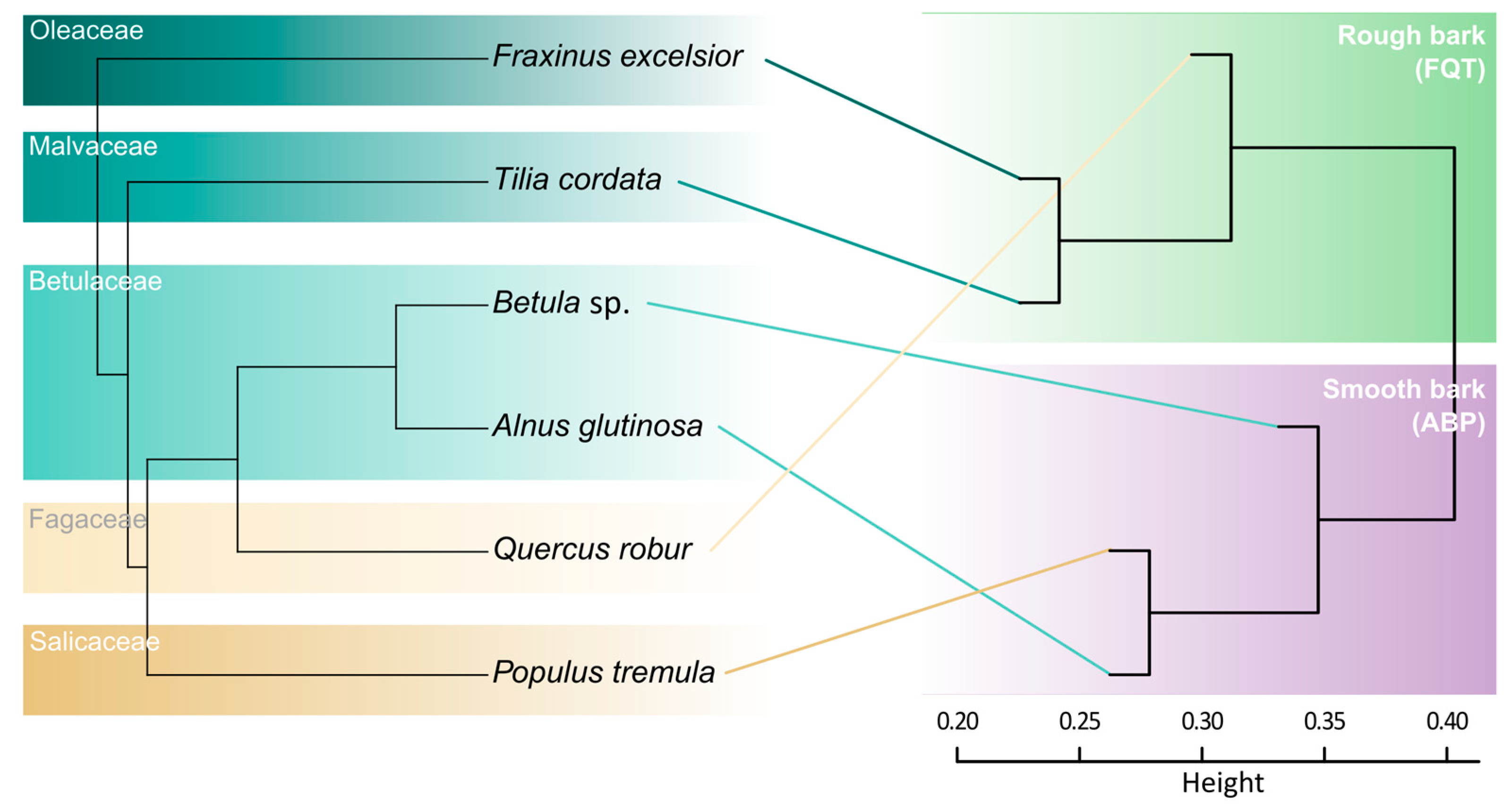 Forests 14 01836 g005