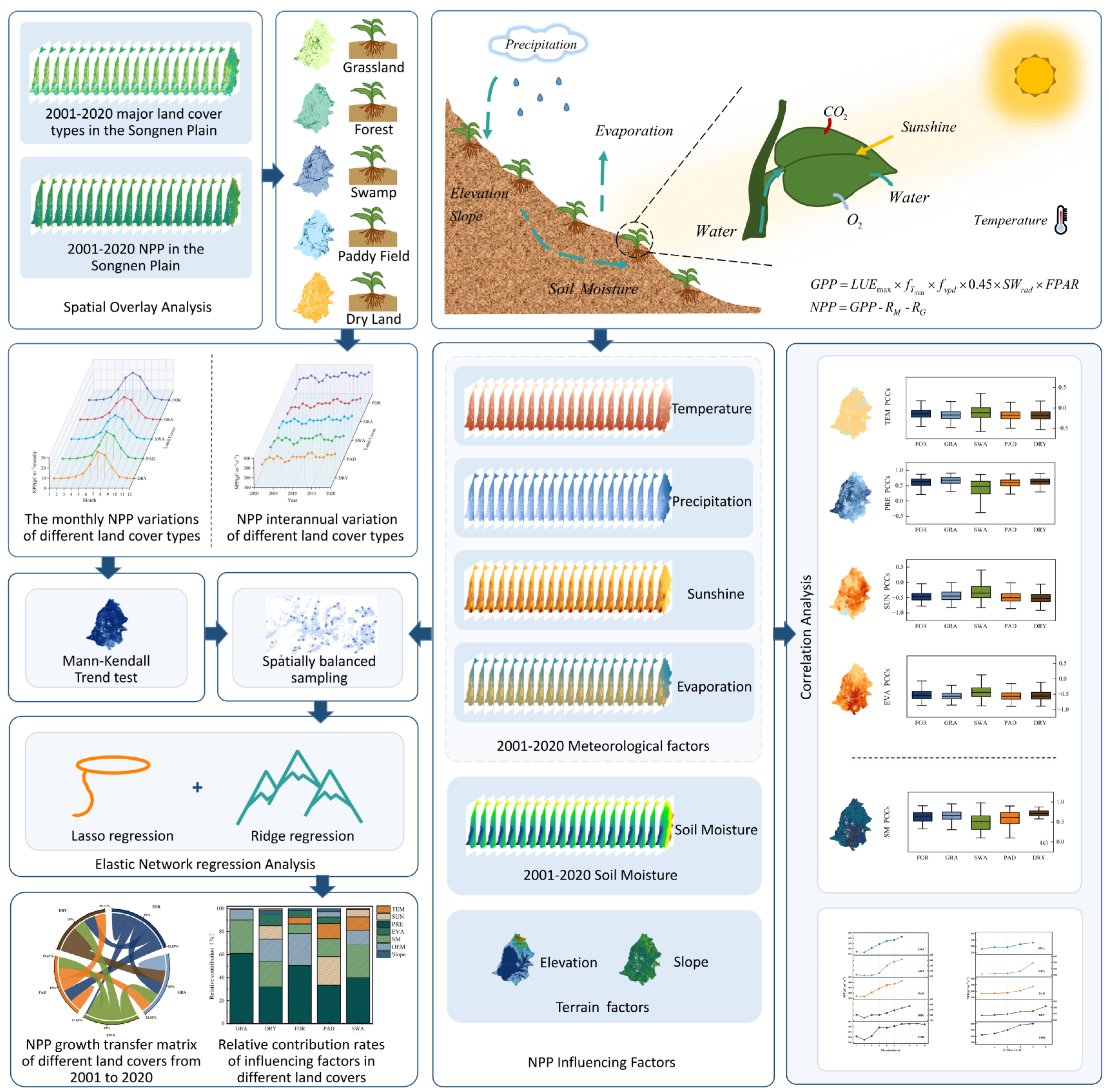 Forests | Free Full-Text | Quantifying the Spatiotemporal