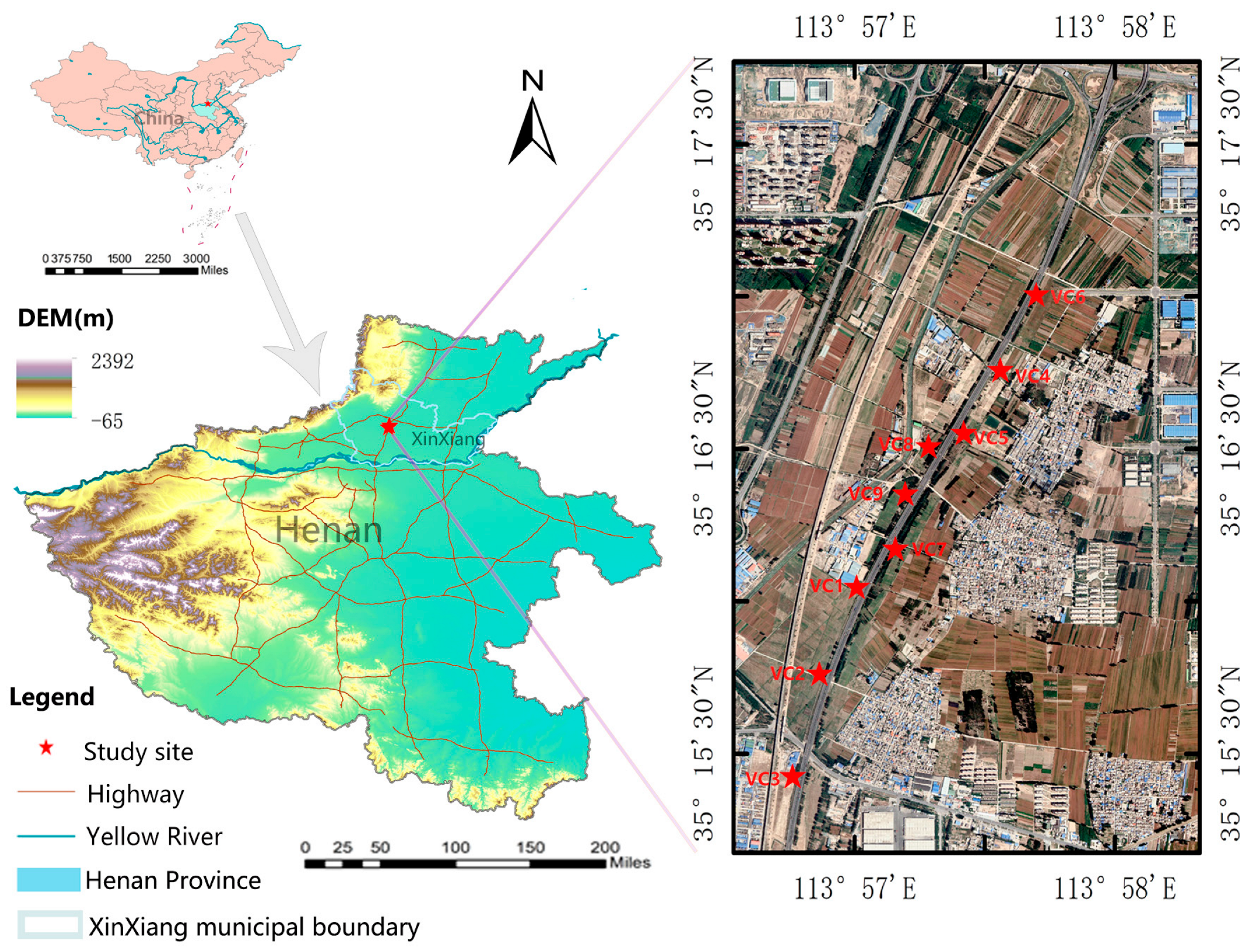 Forests 14 01863 g001