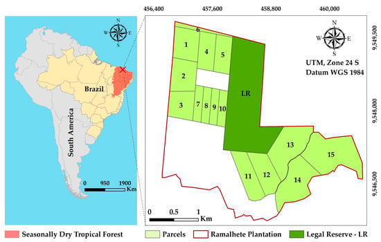 Forests, Free Full-Text