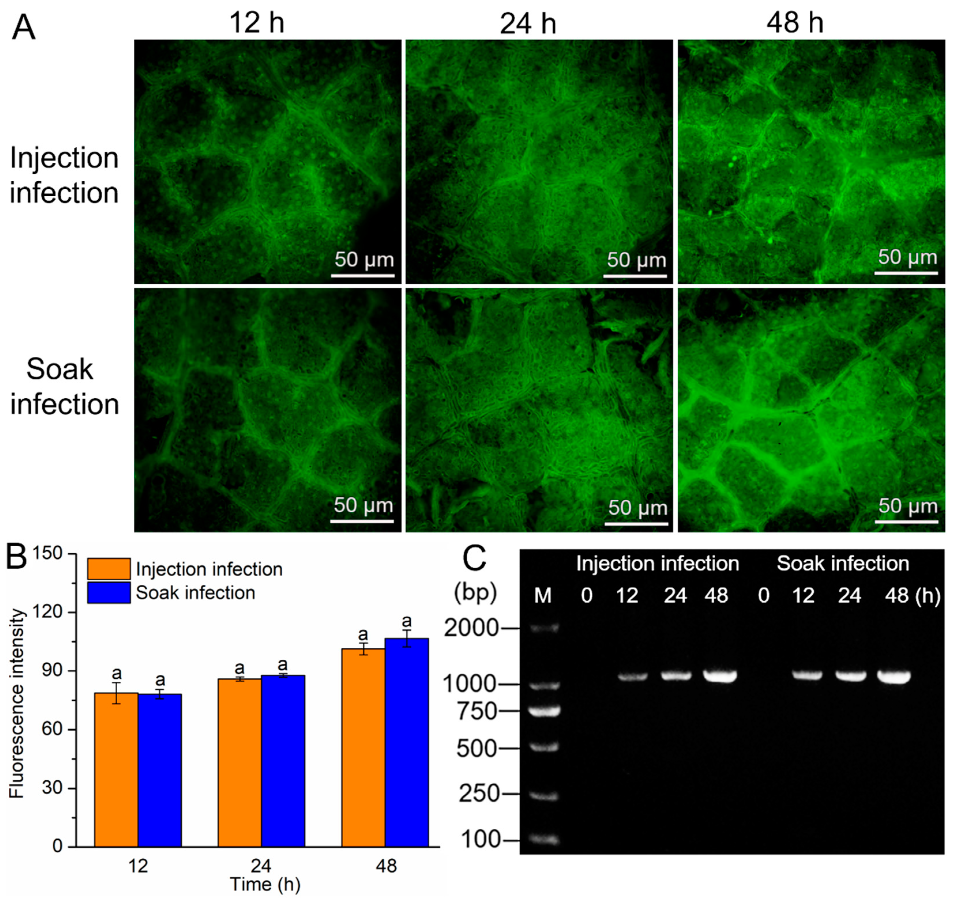 Forests 14 01872 g002