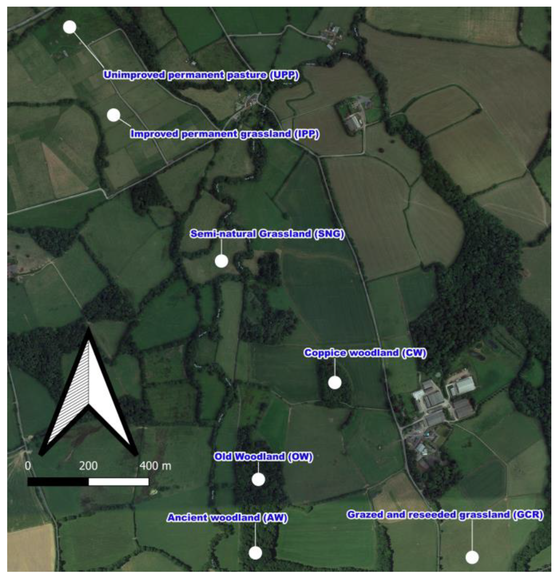 Forests 14 01882 g001