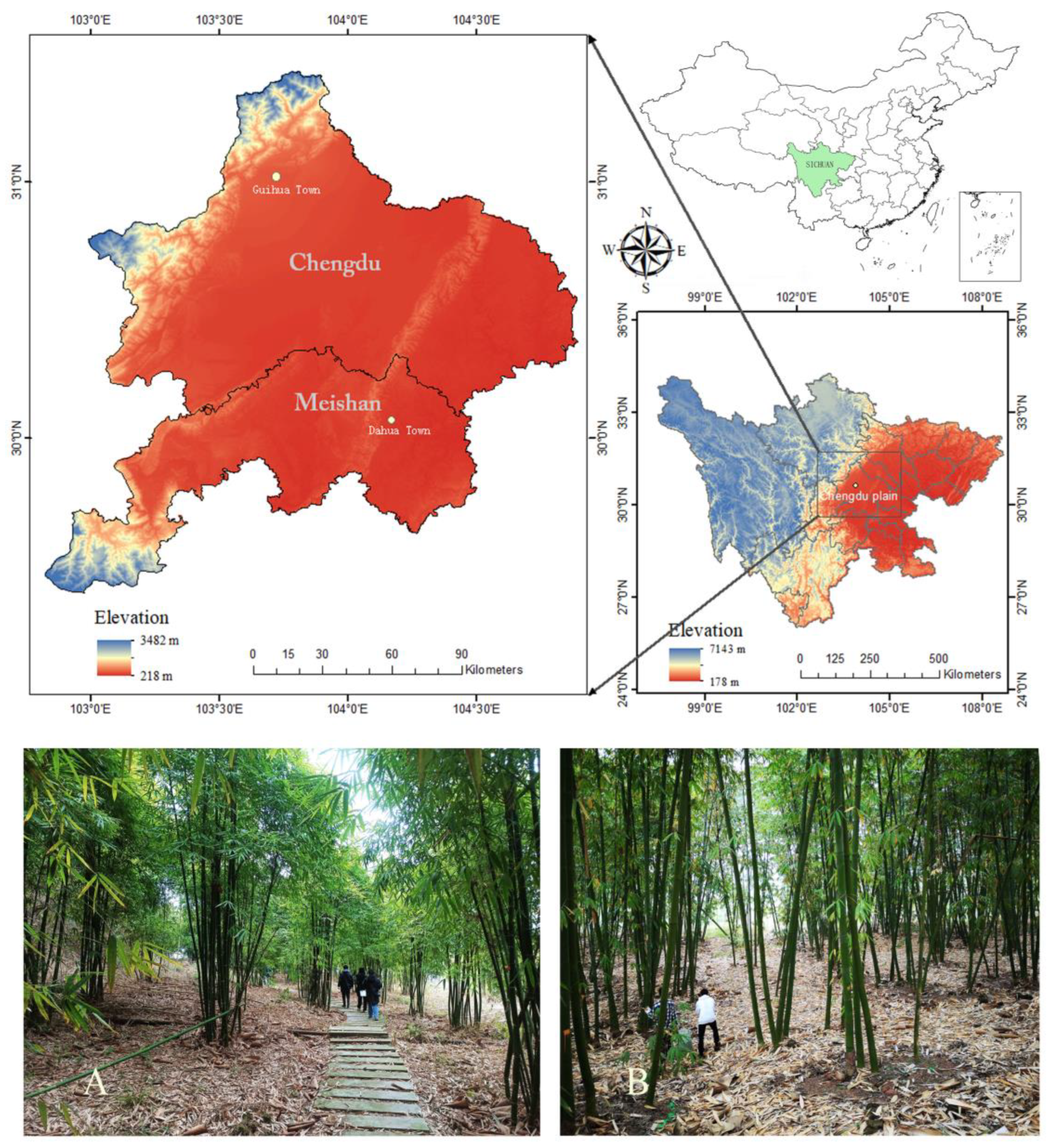 Forests | Free Full-Text | Seasonal Variation in the Thermal 