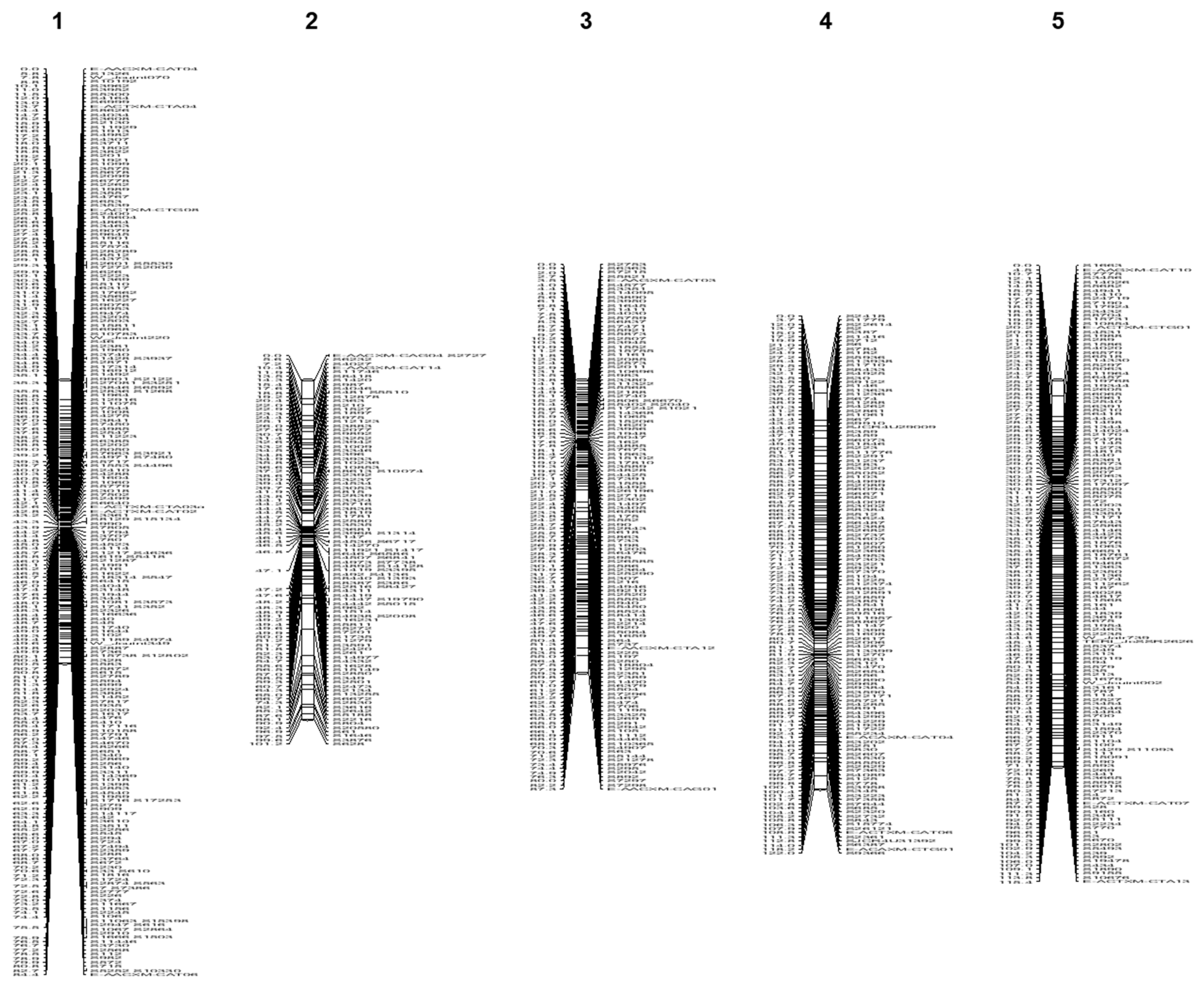 Forests 14 01907 g002a Forests 14 01907 g002a