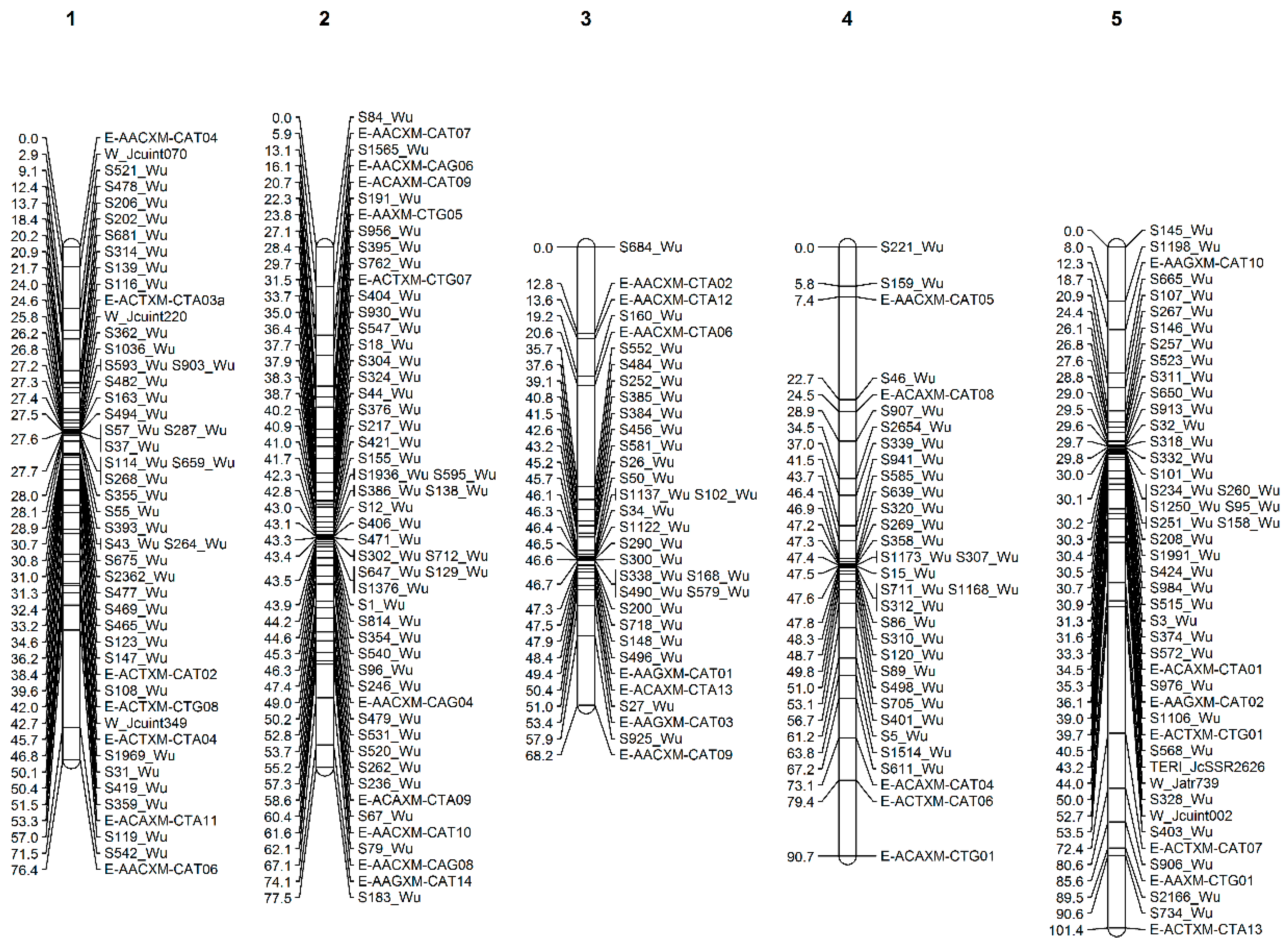 Forests 14 01907 g003a Forests 14 01907 g003a