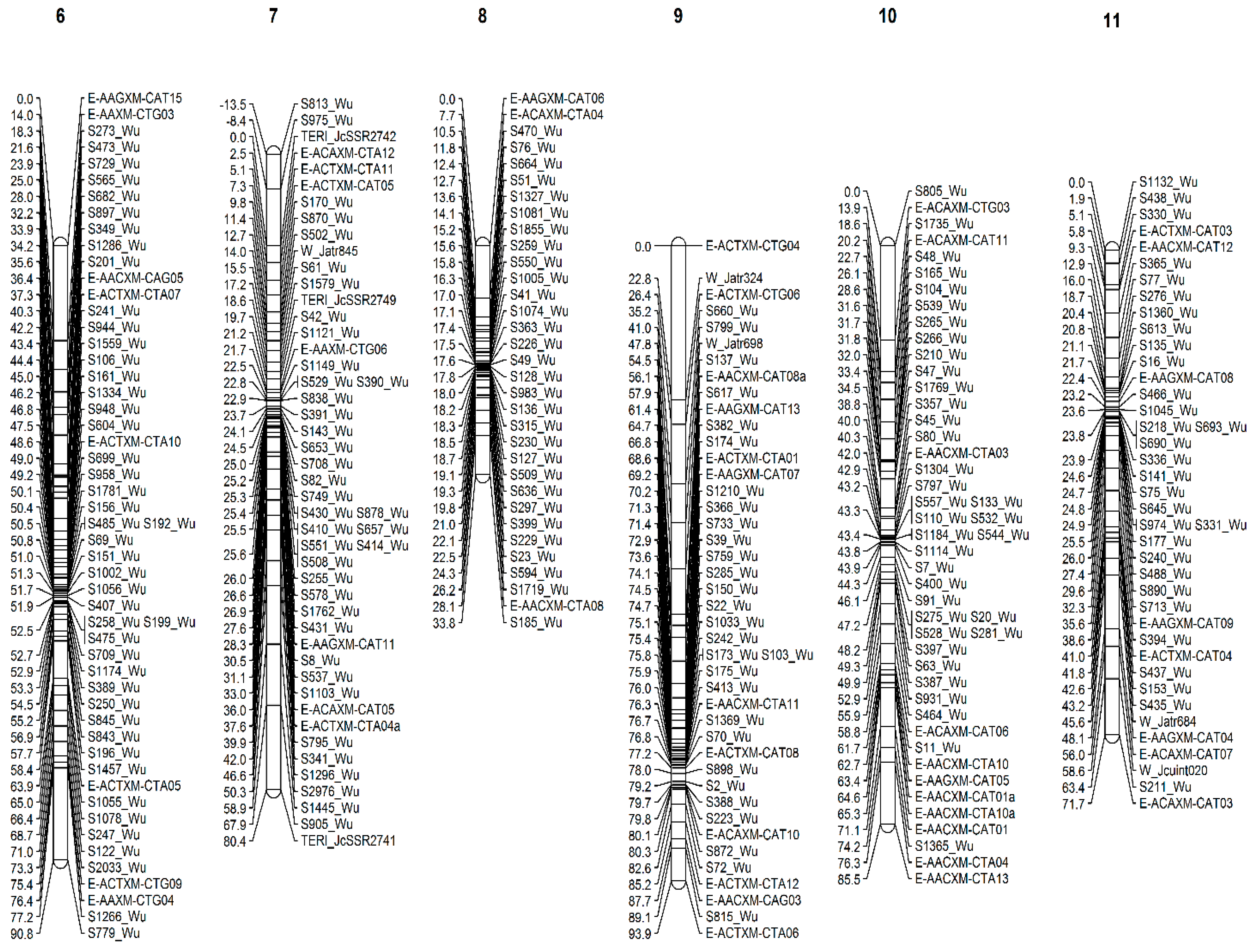 Forests 14 01907 g003b Forests 14 01907 g003b
