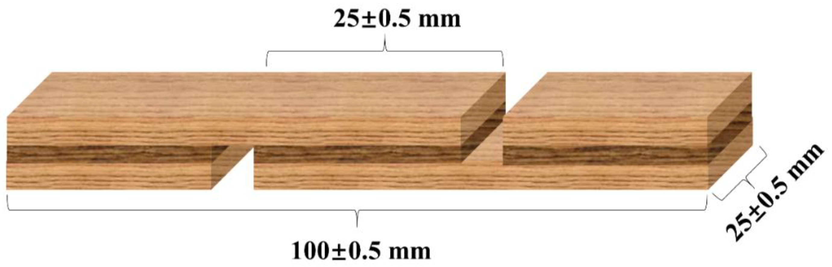 Forests 14 01947 g002