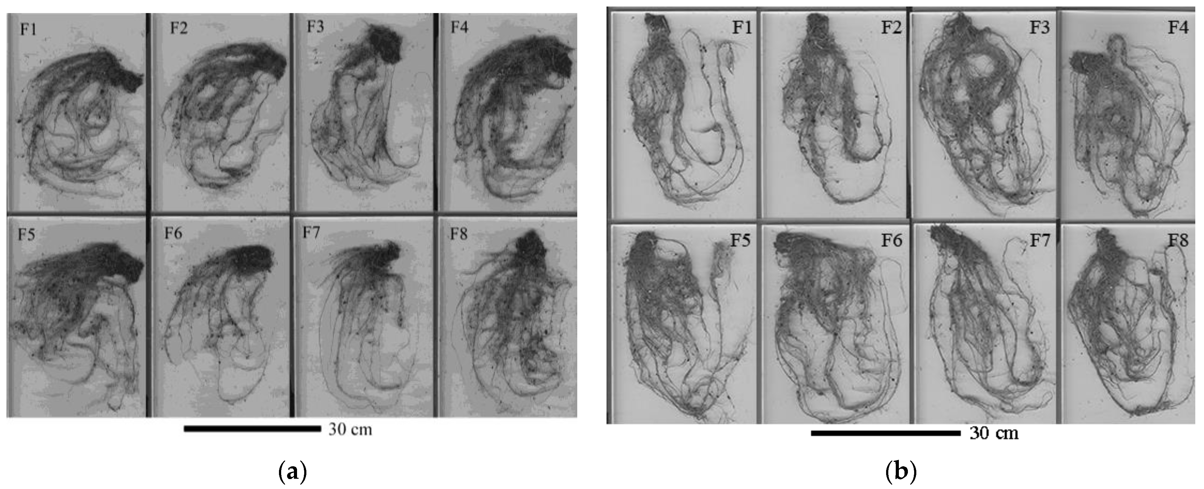 Forests 14 02013 g003